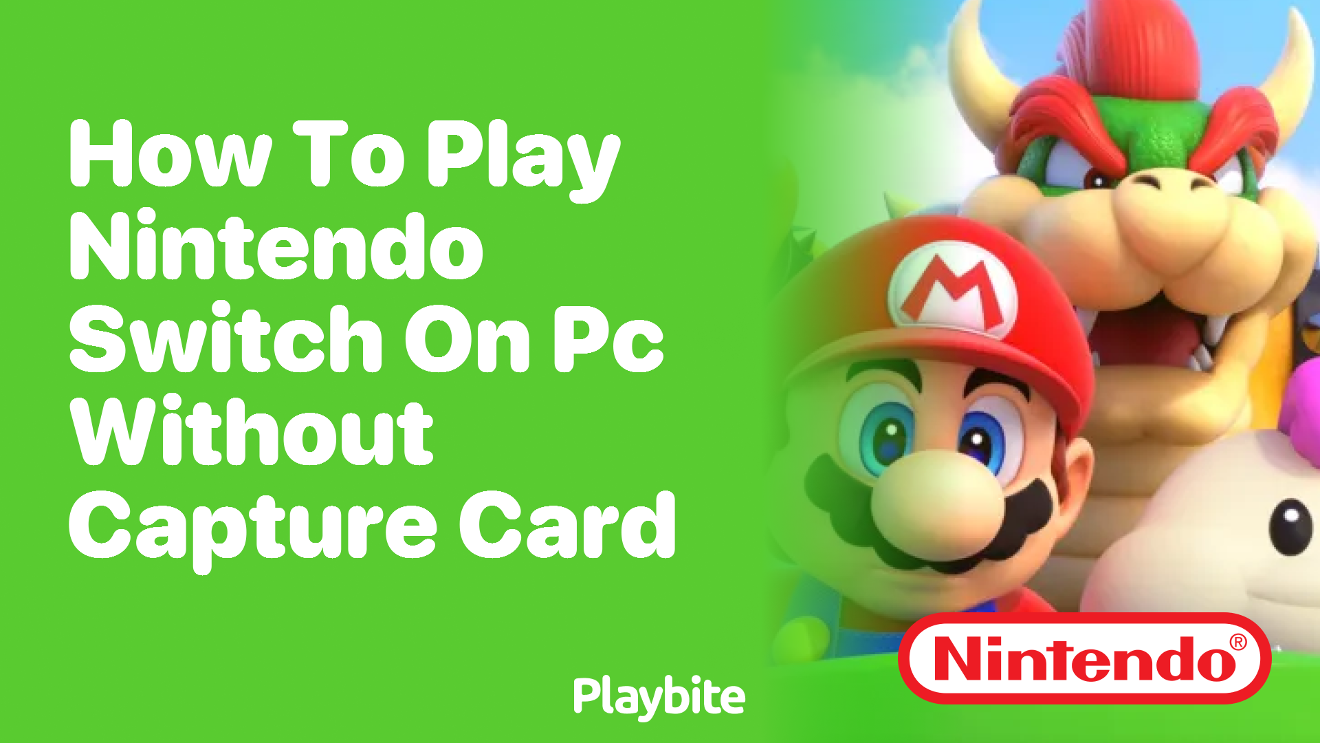 How to Play Nintendo Switch on PC Without a Capture Card