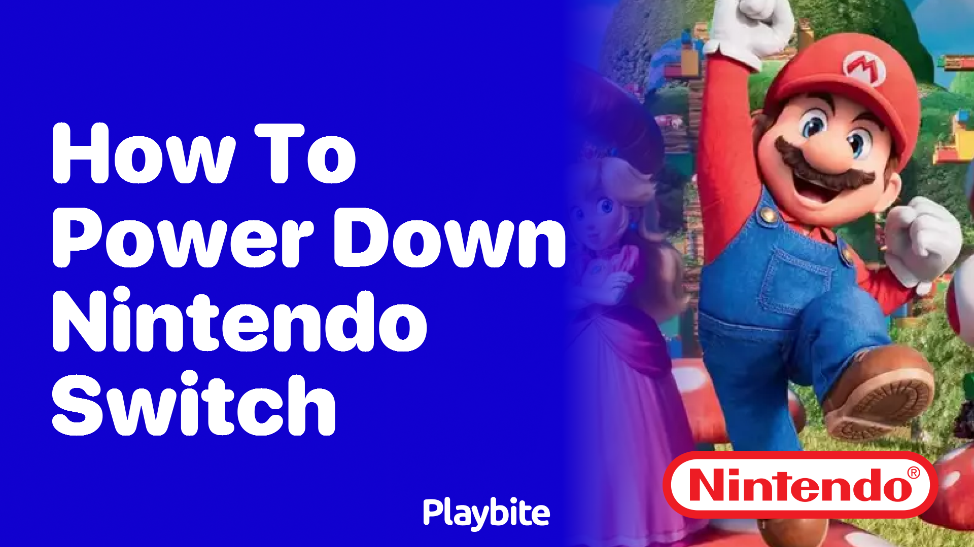 How to Power Down Your Nintendo Switch Playbite