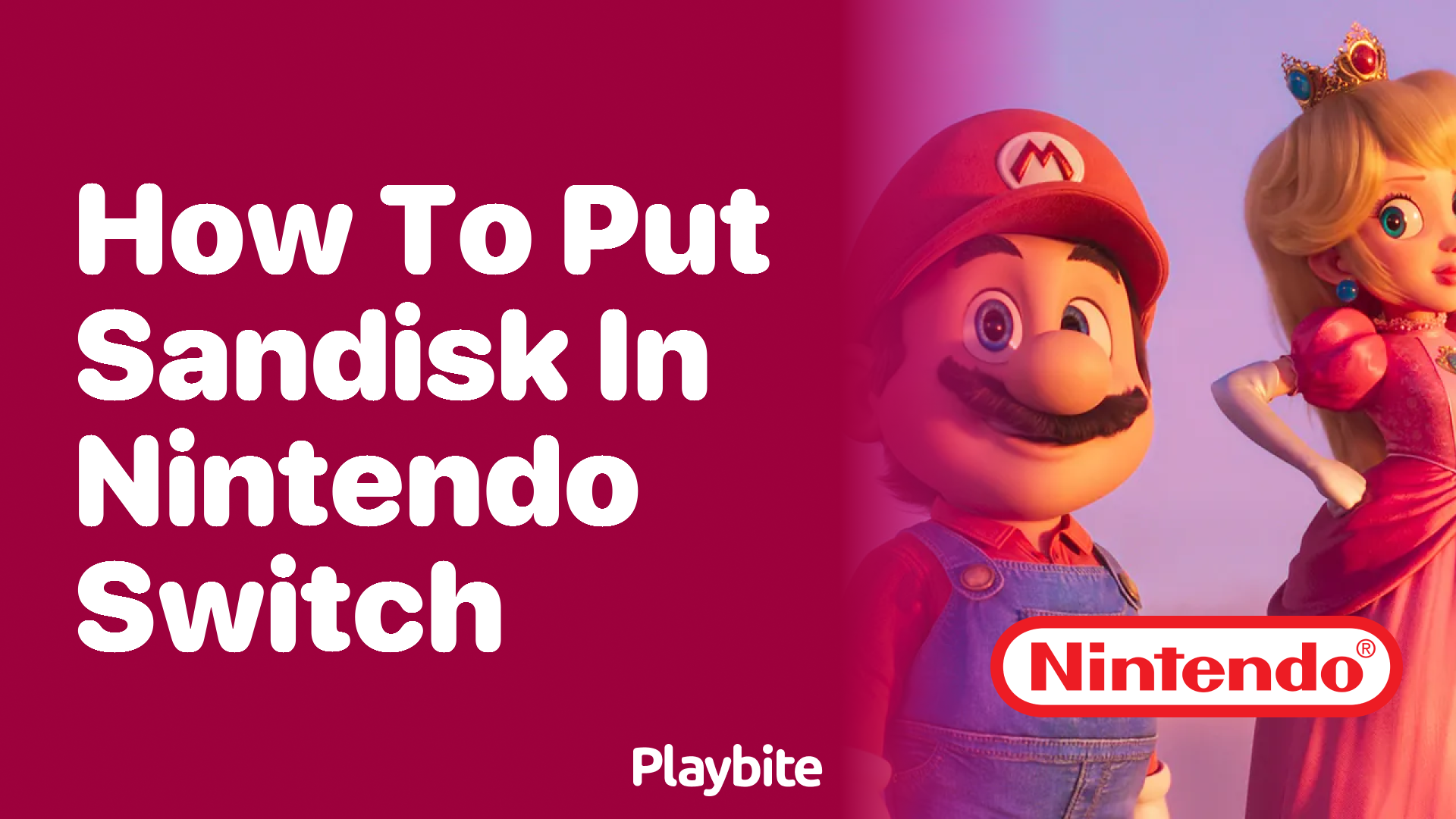 How to Put SanDisk in Nintendo Switch