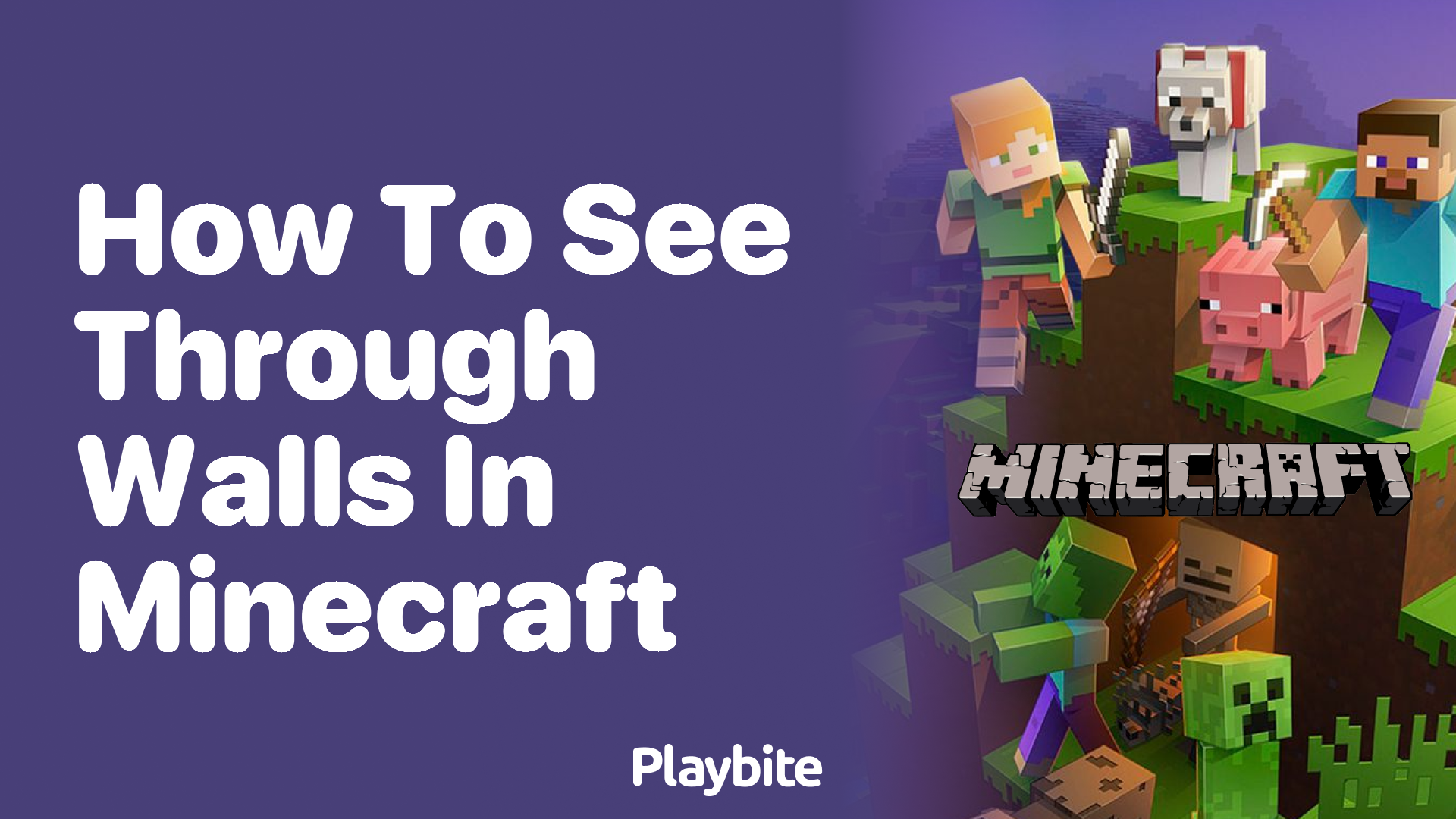 How to See Through Walls in Minecraft