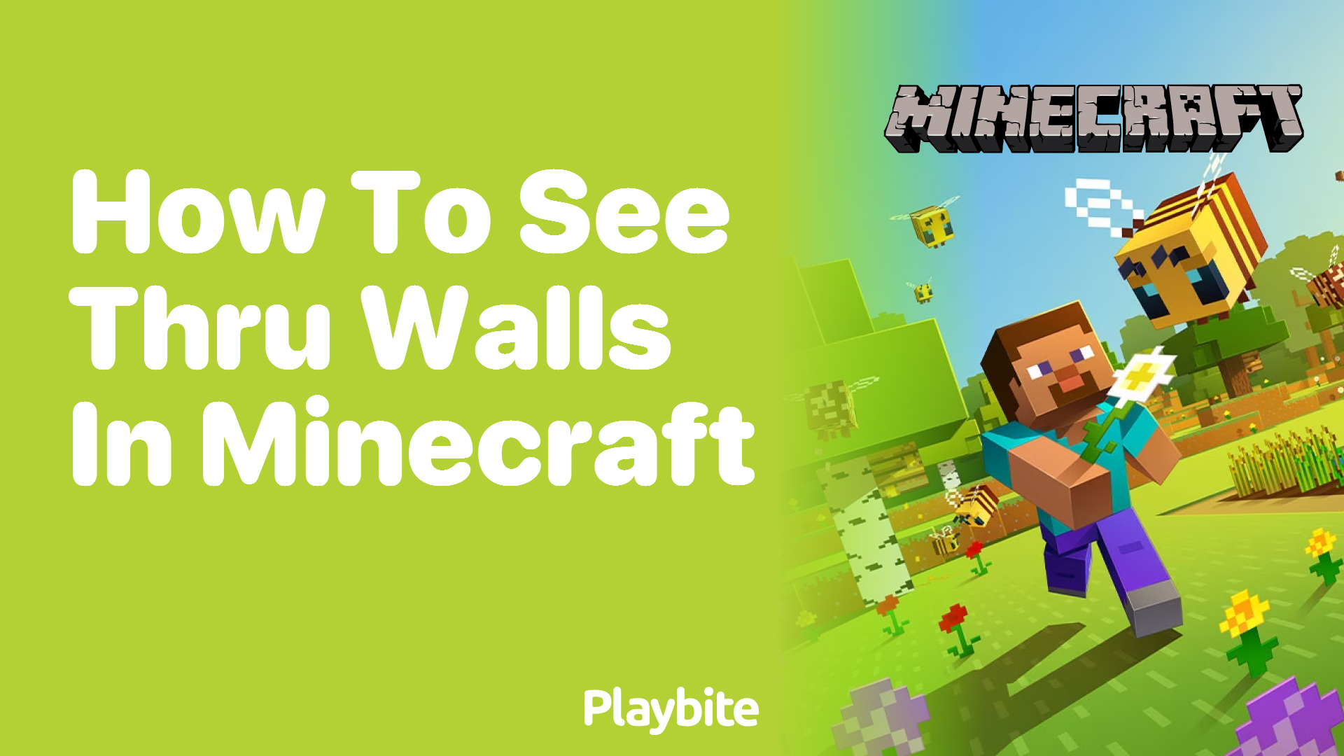 How to See Through Walls in Minecraft