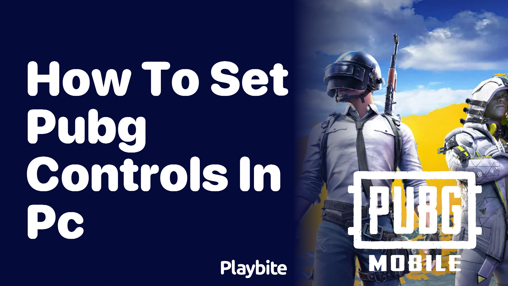 How to Set PUBG Controls in PC
