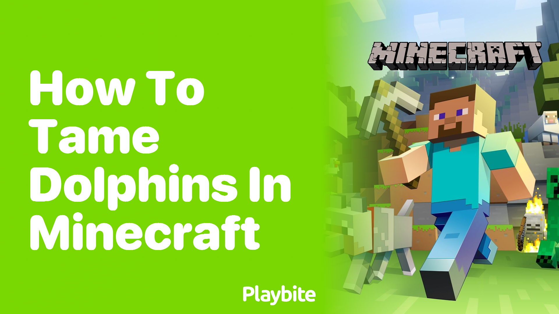 How to Tame Dolphins in Minecraft?