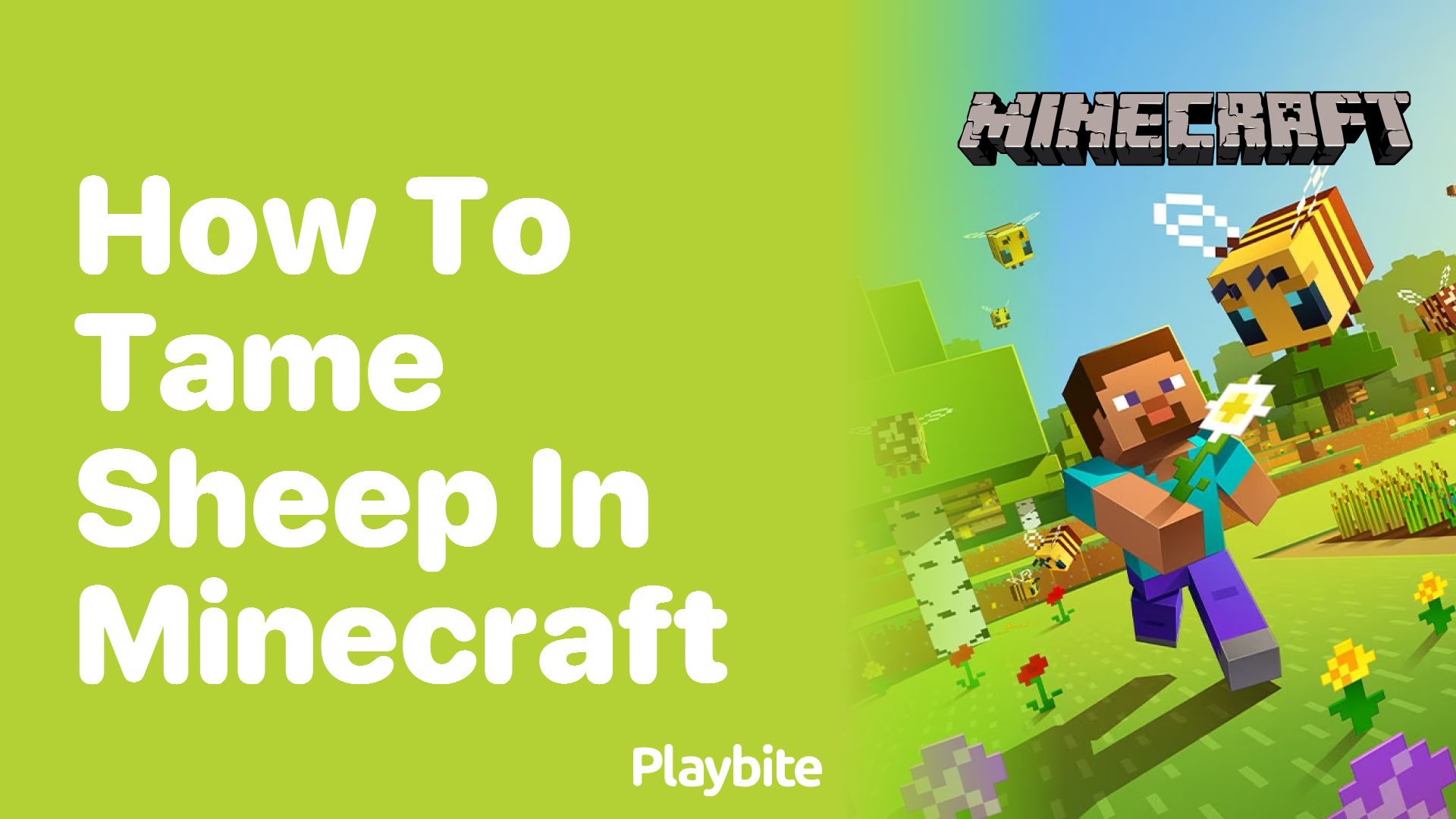 How to Tame Sheep in Minecraft