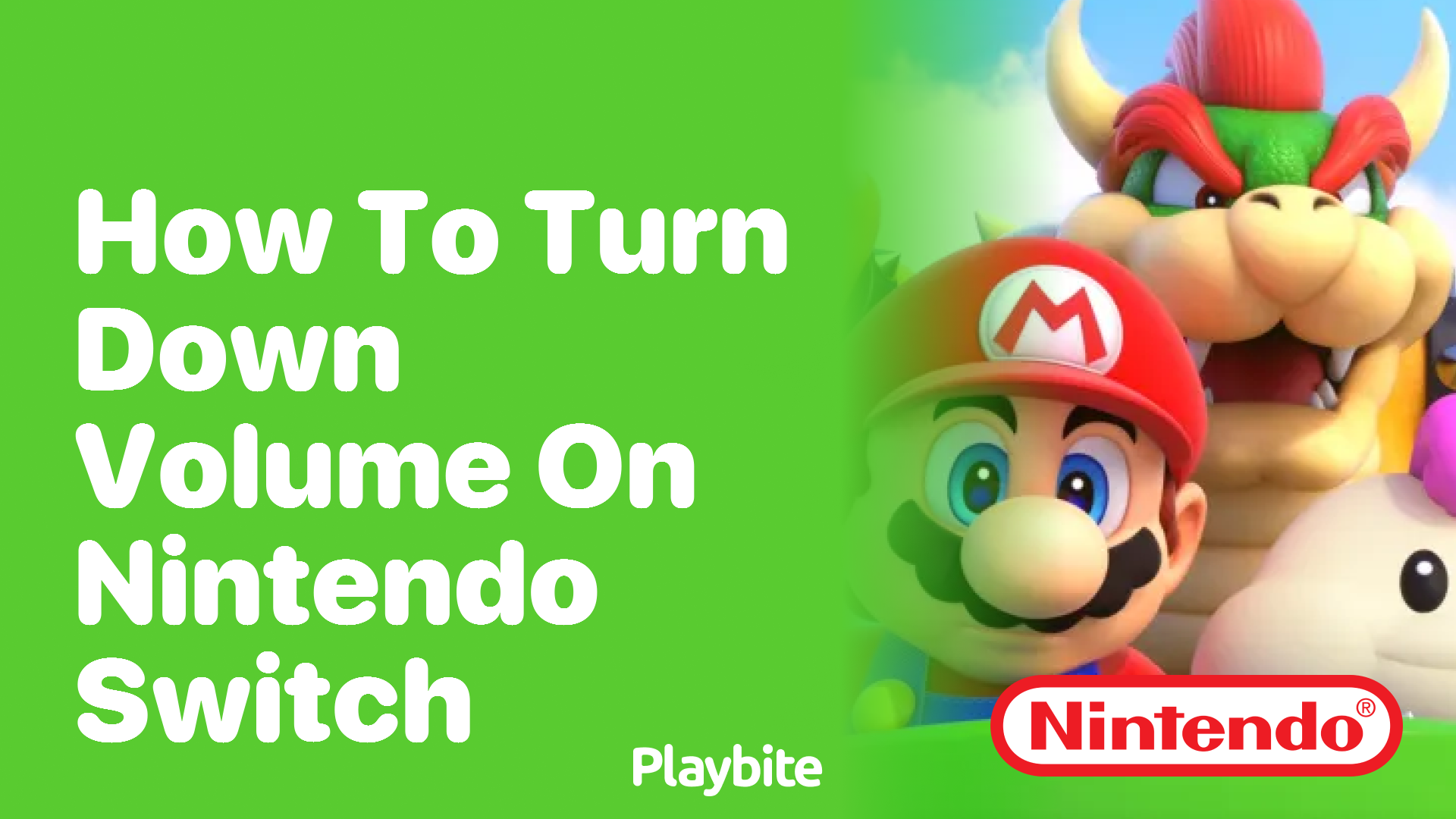 How to Turn Down Volume on Nintendo Switch