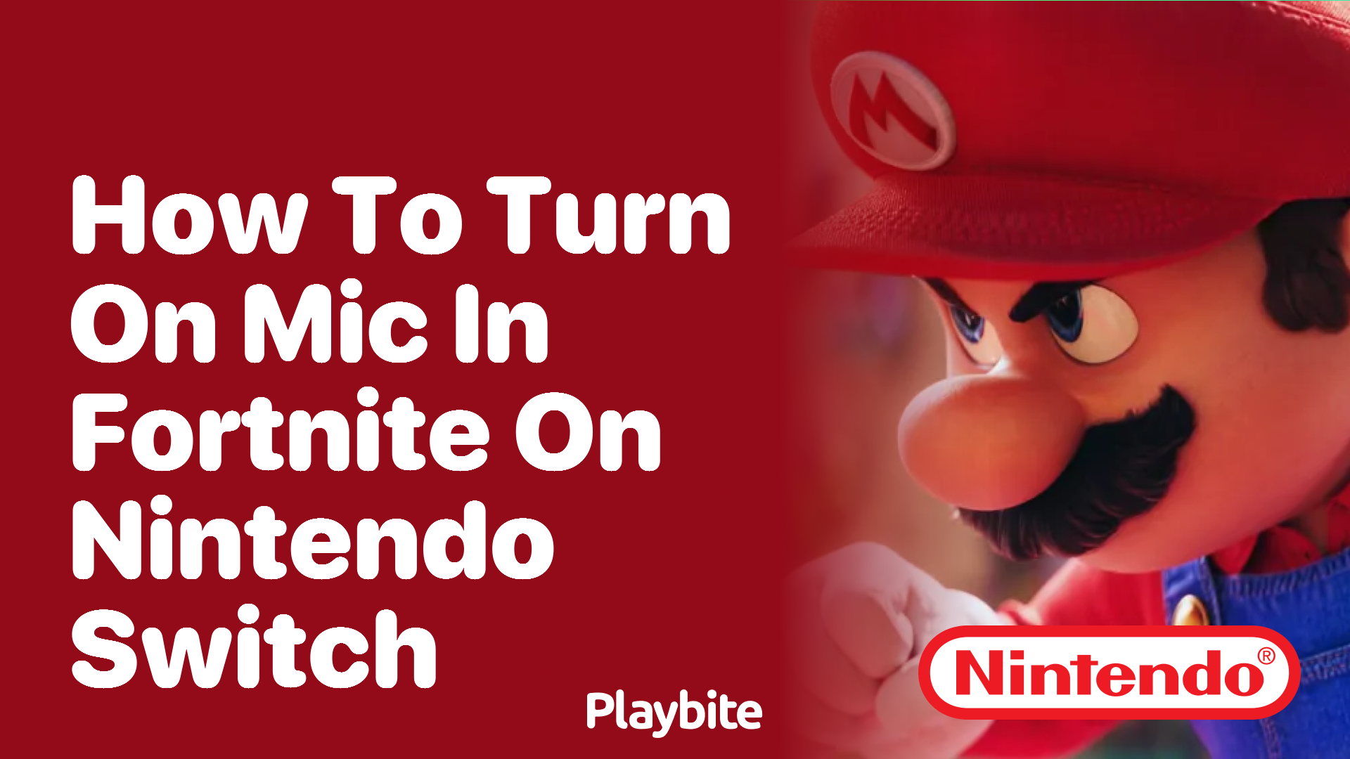 How to Turn On The Mic in Fortnite on Nintendo Switch