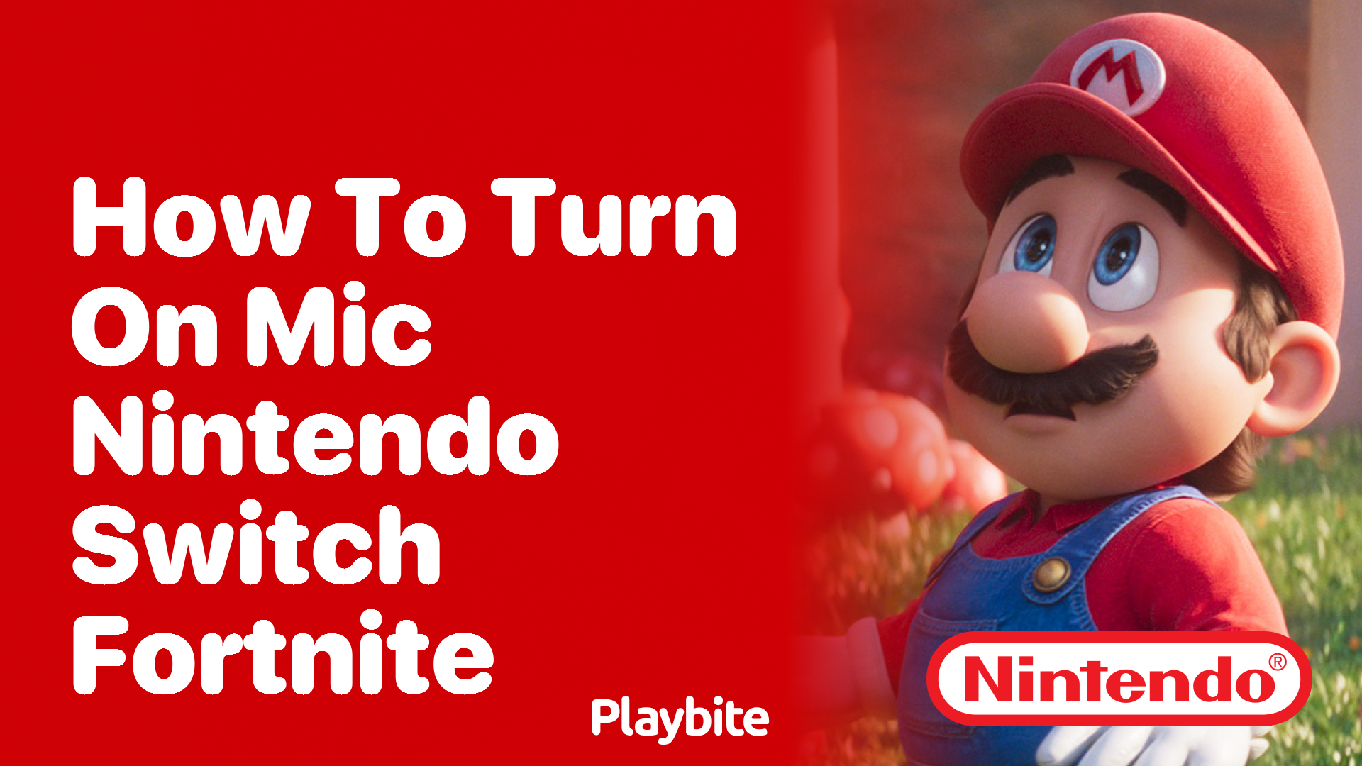 How to Turn On the Mic on Nintendo Switch for Fortnite