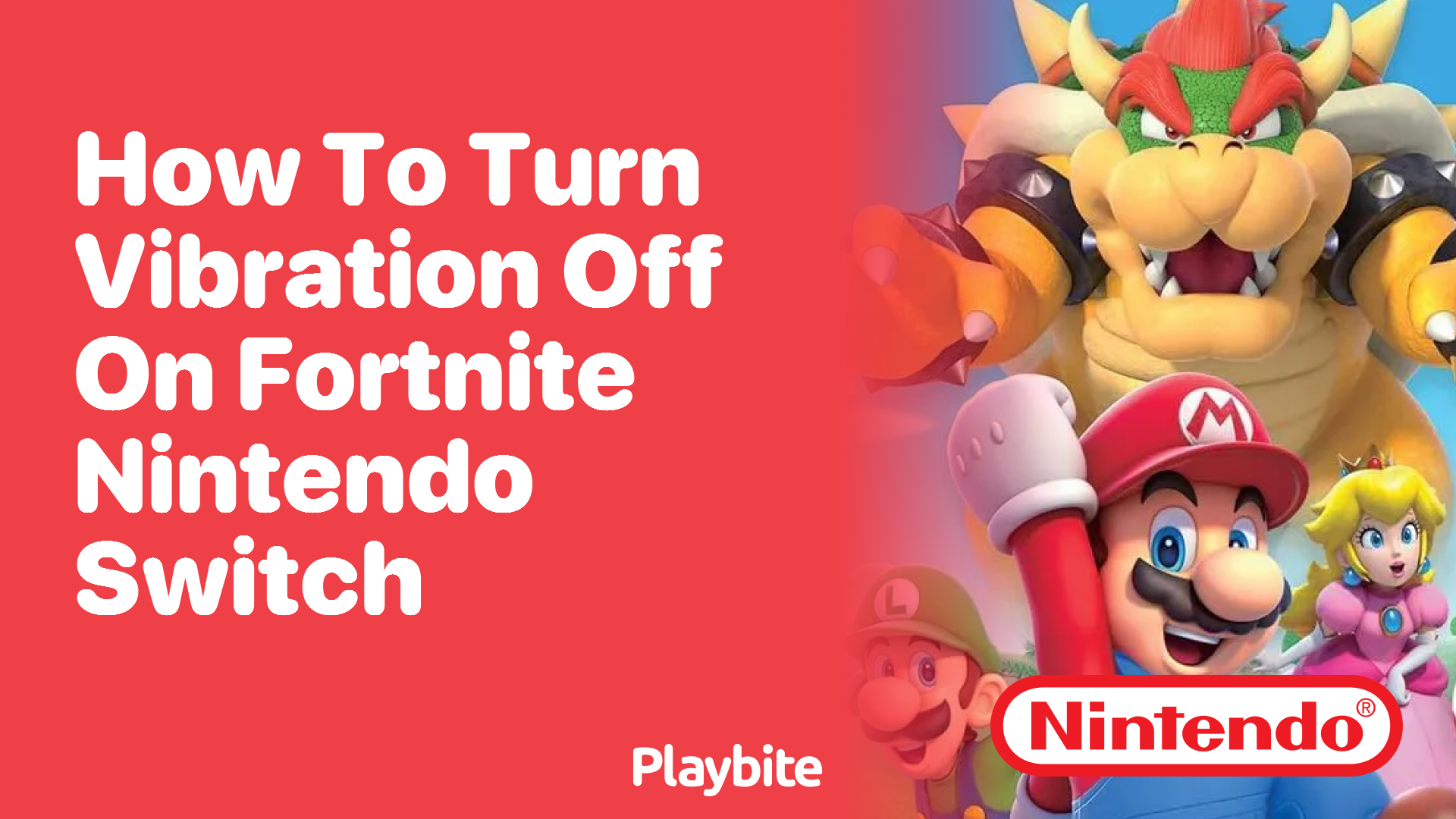 How to Turn Off Vibration on Fortnite for Nintendo Switch