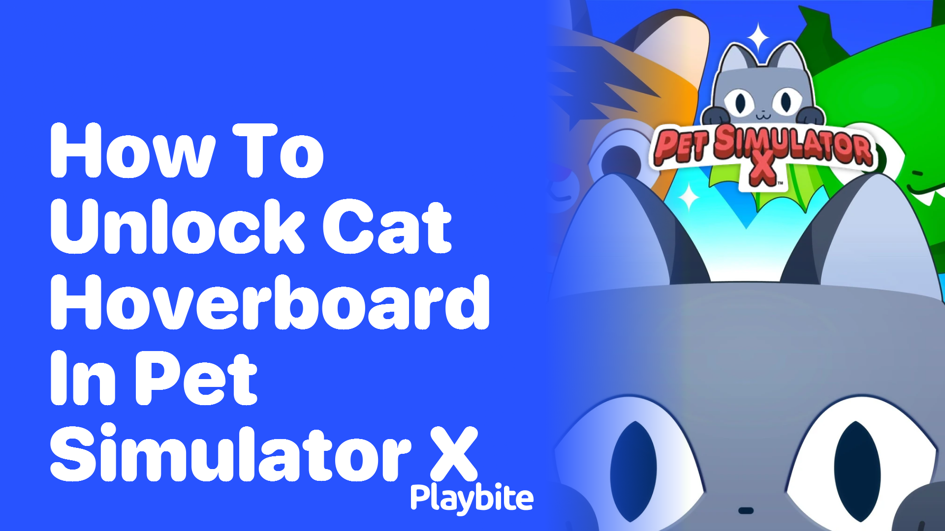 How to Unlock the Cat Hoverboard in Pet Simulator X