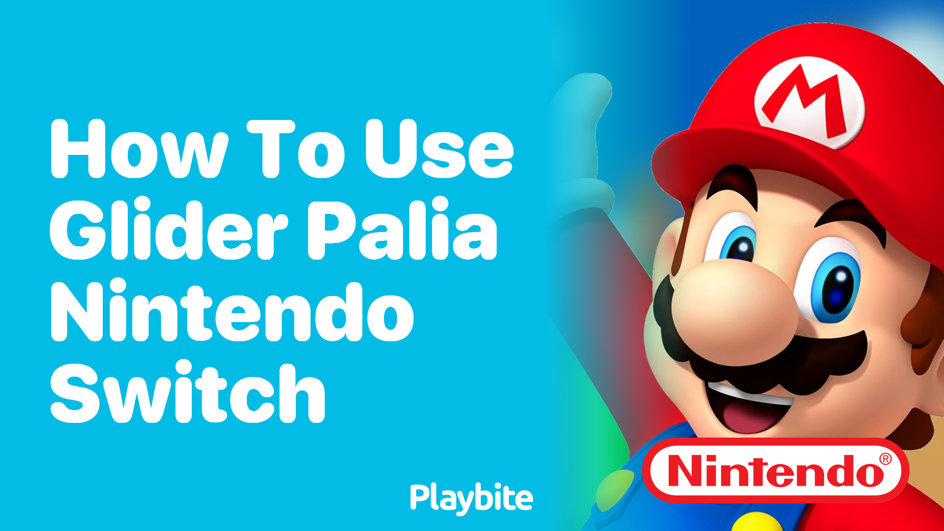 How to Use the Glider in Palia on Nintendo Switch