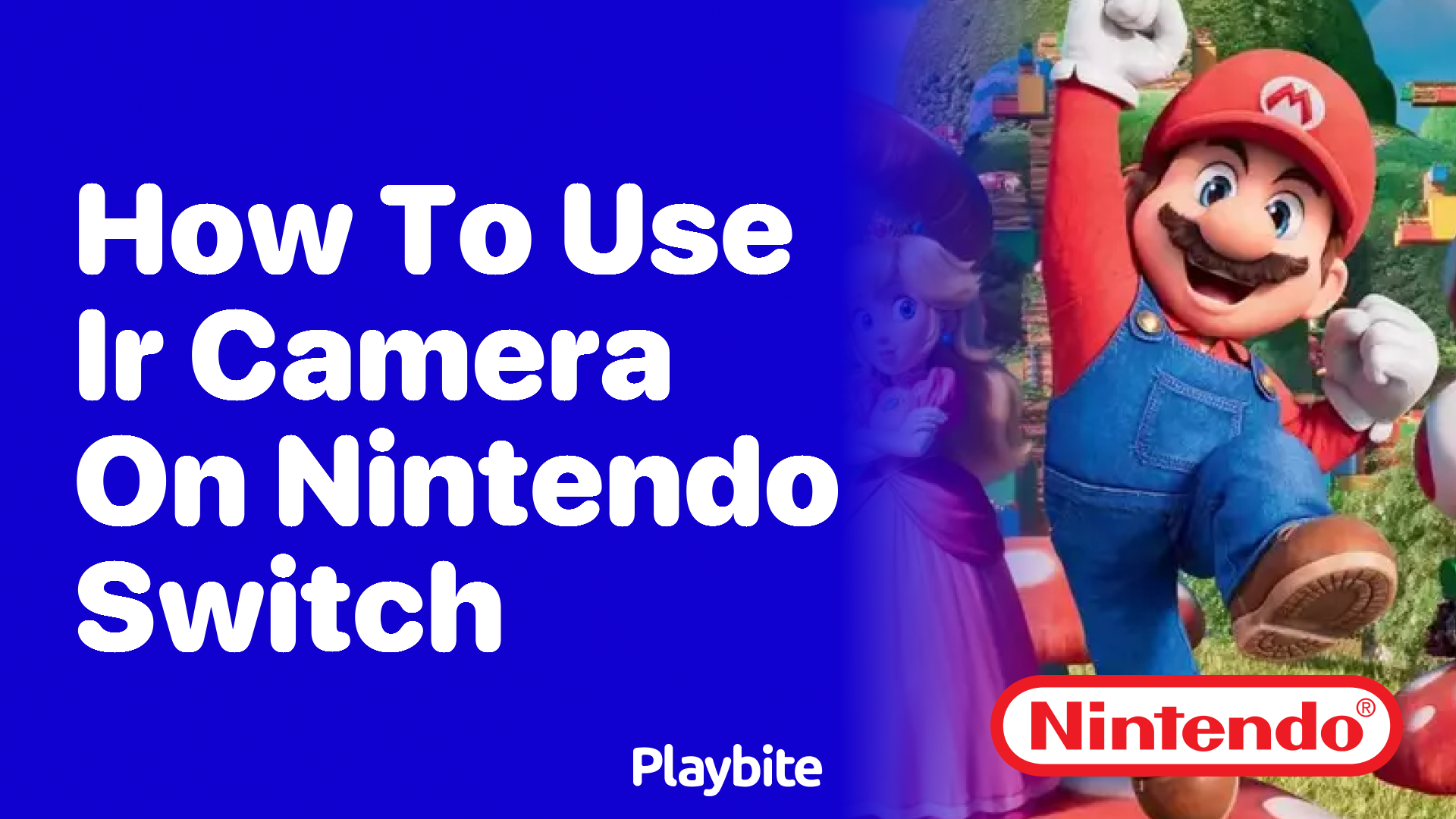 How to Use the IR Camera on the Nintendo Switch
