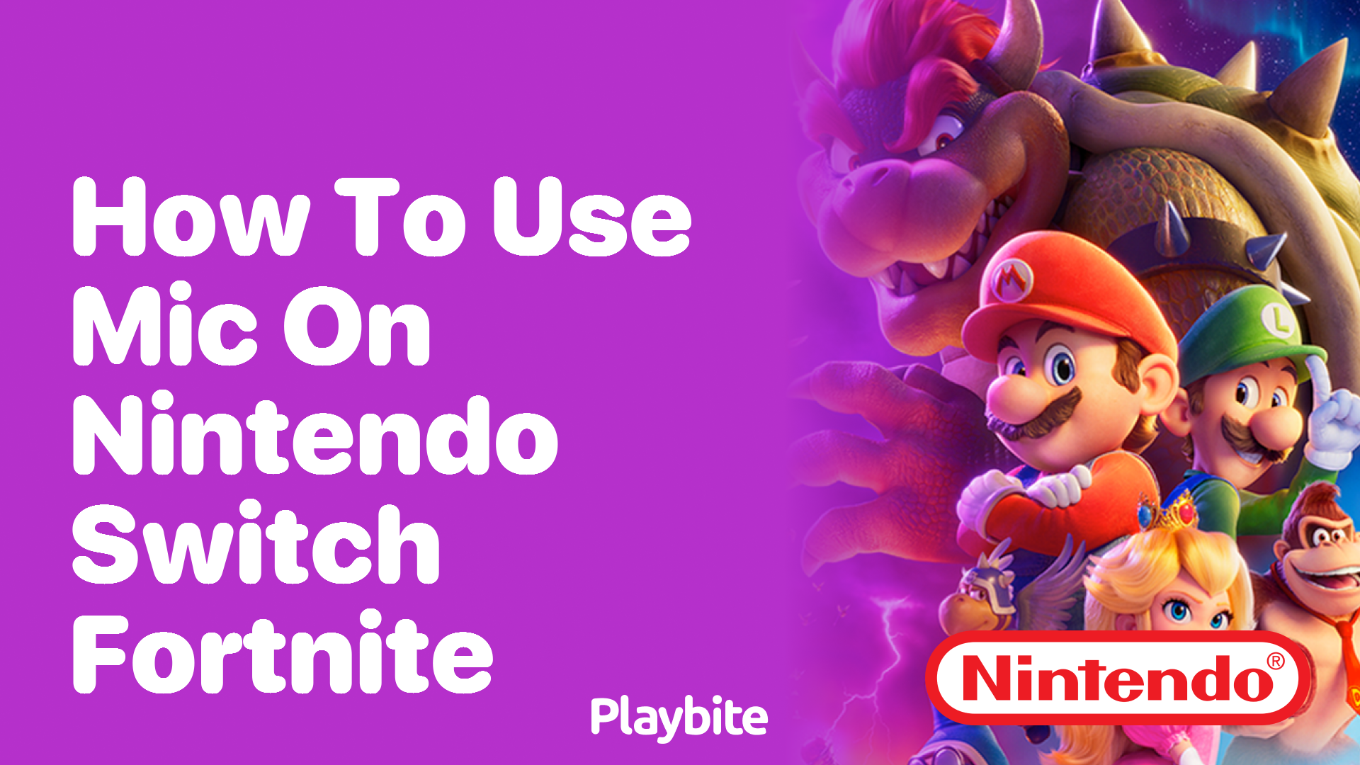 How to Use a Mic on Nintendo Switch for Fortnite Playbite