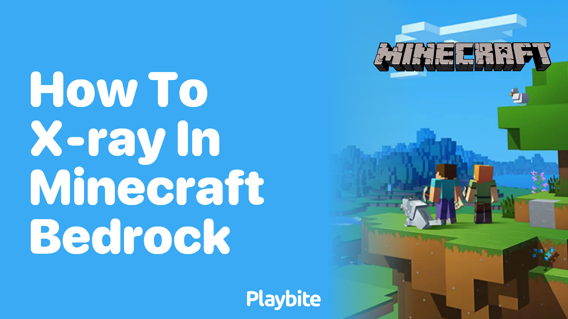 How to XRay in Minecraft Bedrock A StepbyStep Guide Playbite