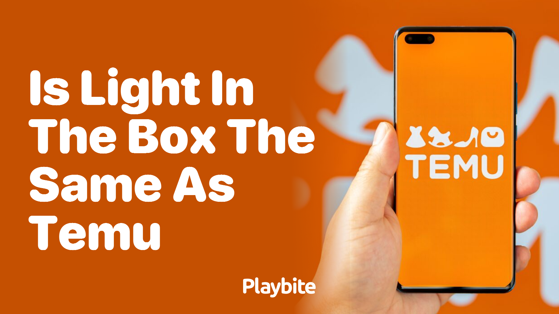 Is Light in the Box the Same as Temu?