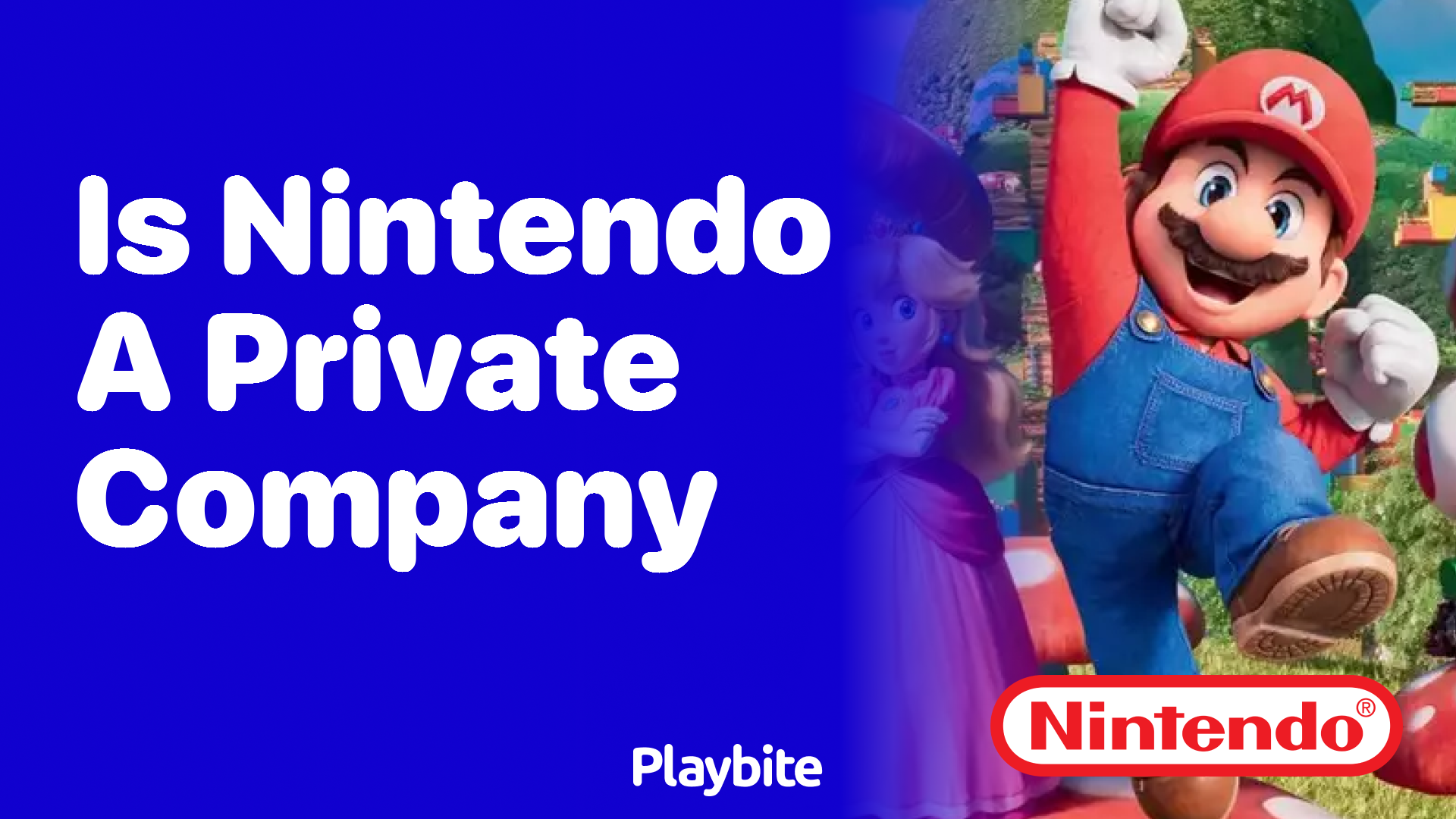 Is Nintendo a Private Company? Let’s Find Out!