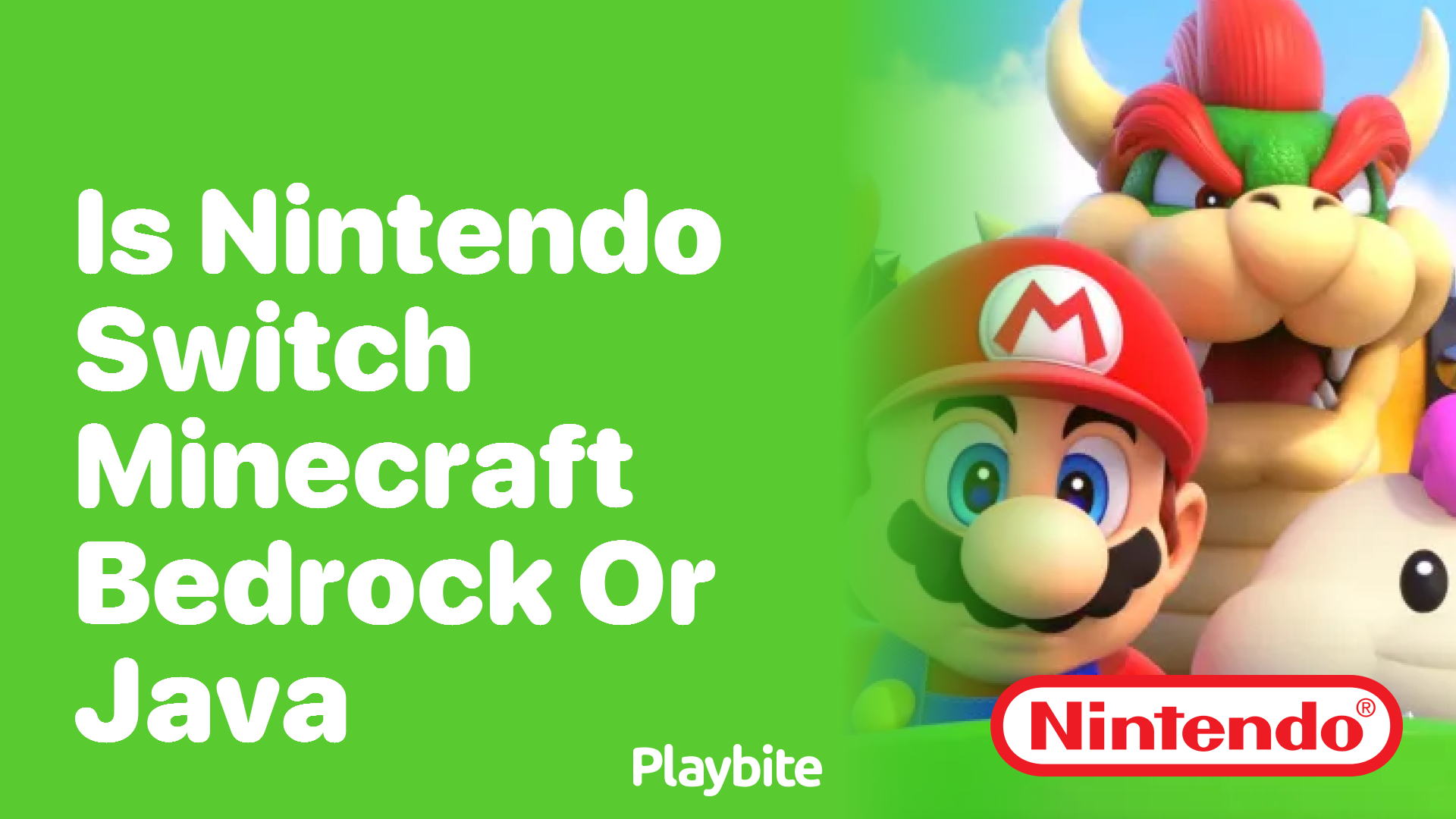 Is Nintendo Switch Minecraft Bedrock or Java? - Playbite