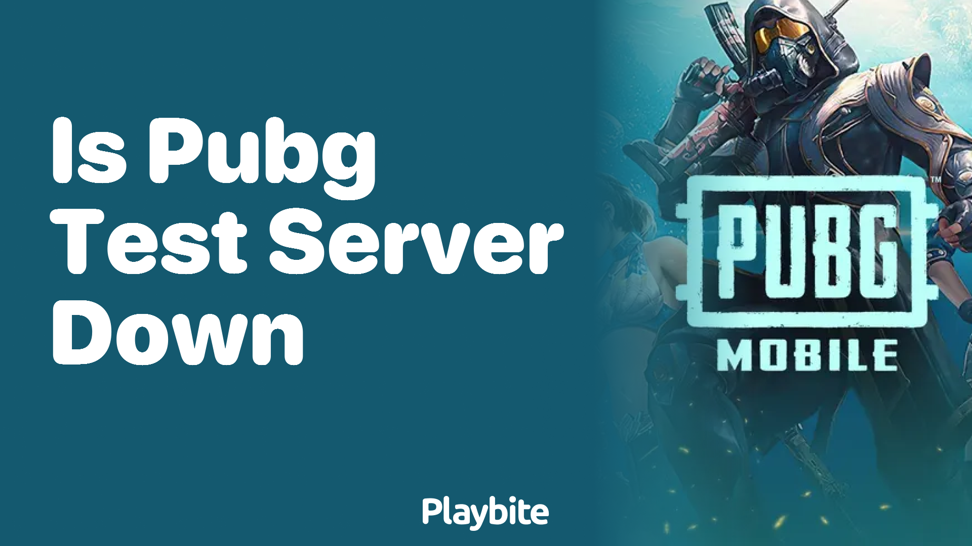 Is the PUBG Test Server Down? Here’s What You Need to Know