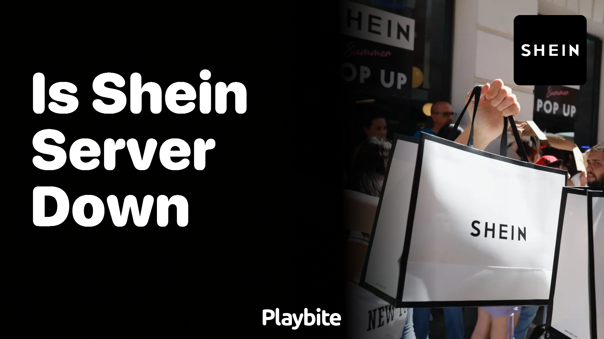 Is the SHEIN Server Down? Let’s Find Out