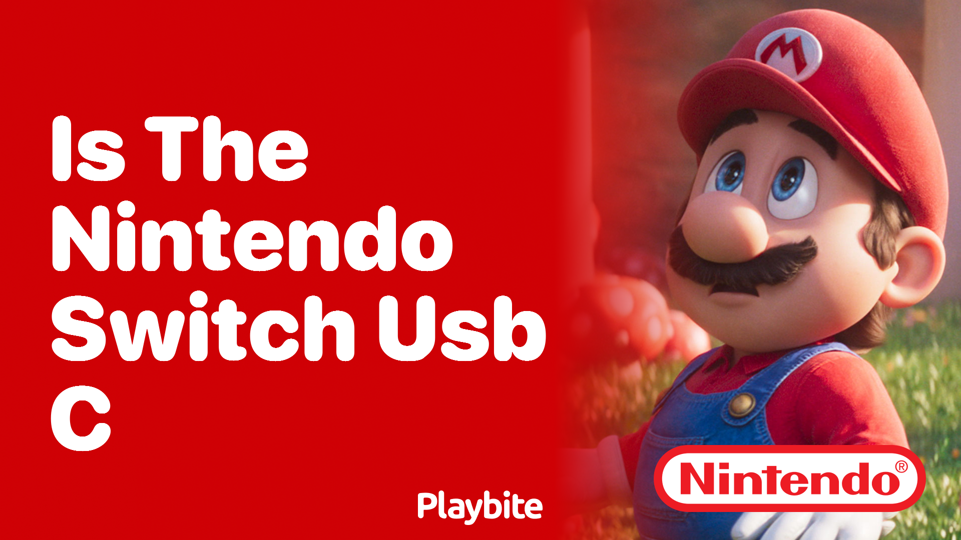 Is the Nintendo Switch USB-C Compatible?