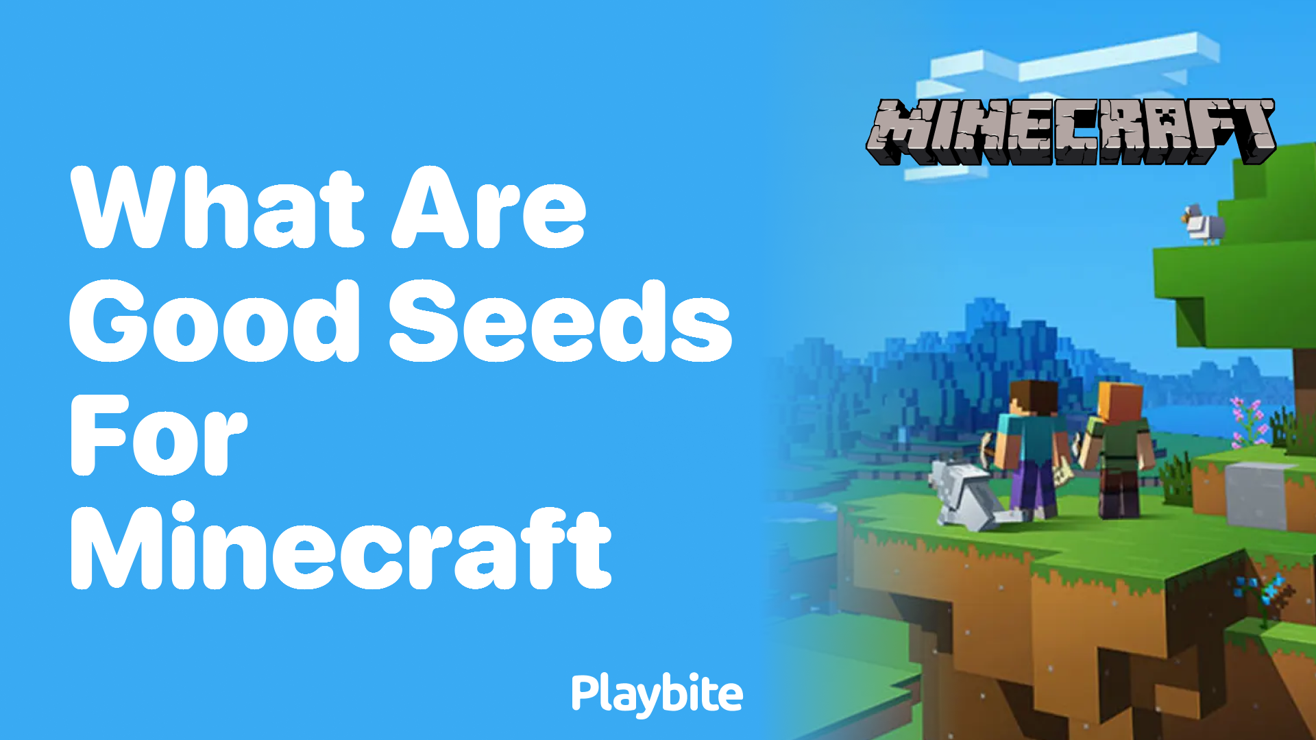 What are good seeds for Minecraft?