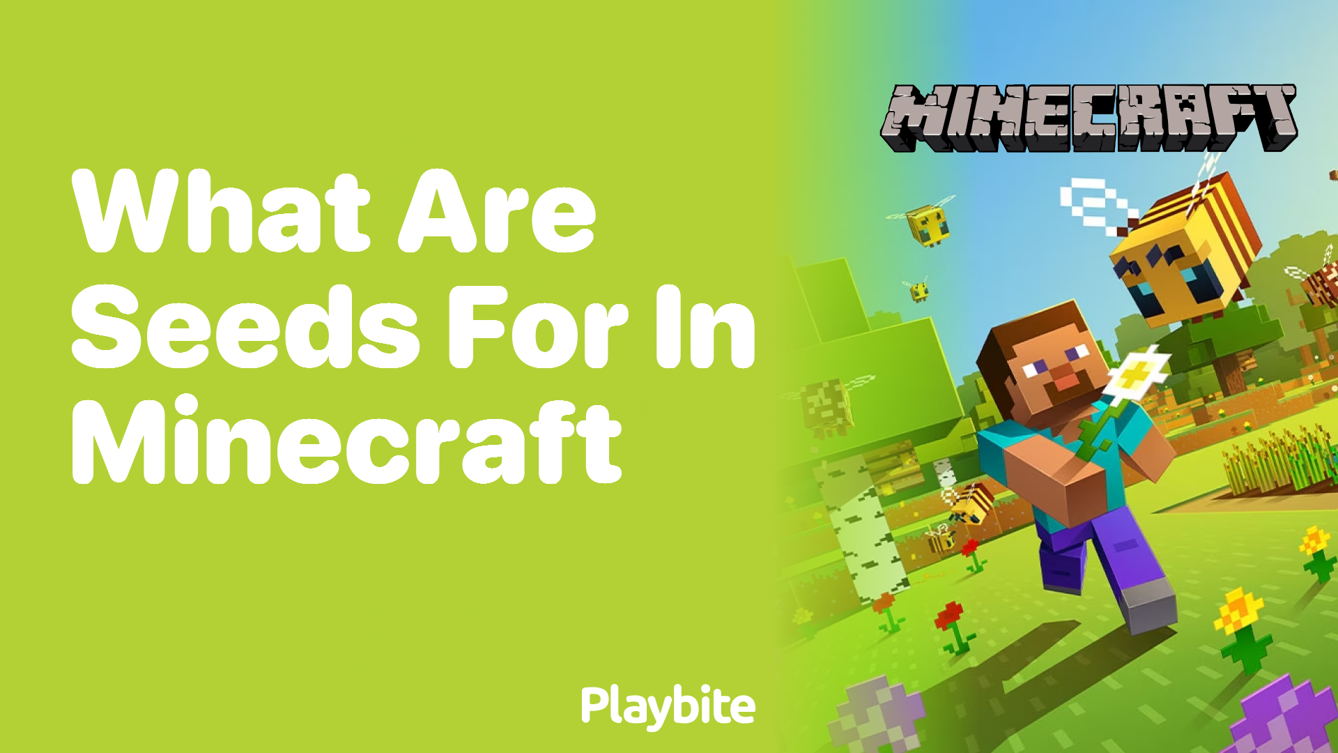 What Are Seeds For in Minecraft?