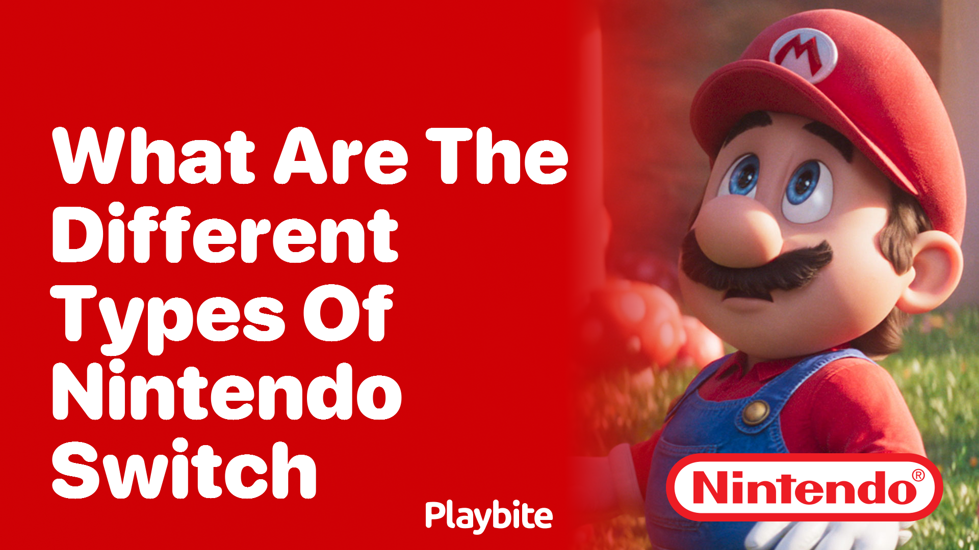 Exploring the Different Types of Nintendo Switch