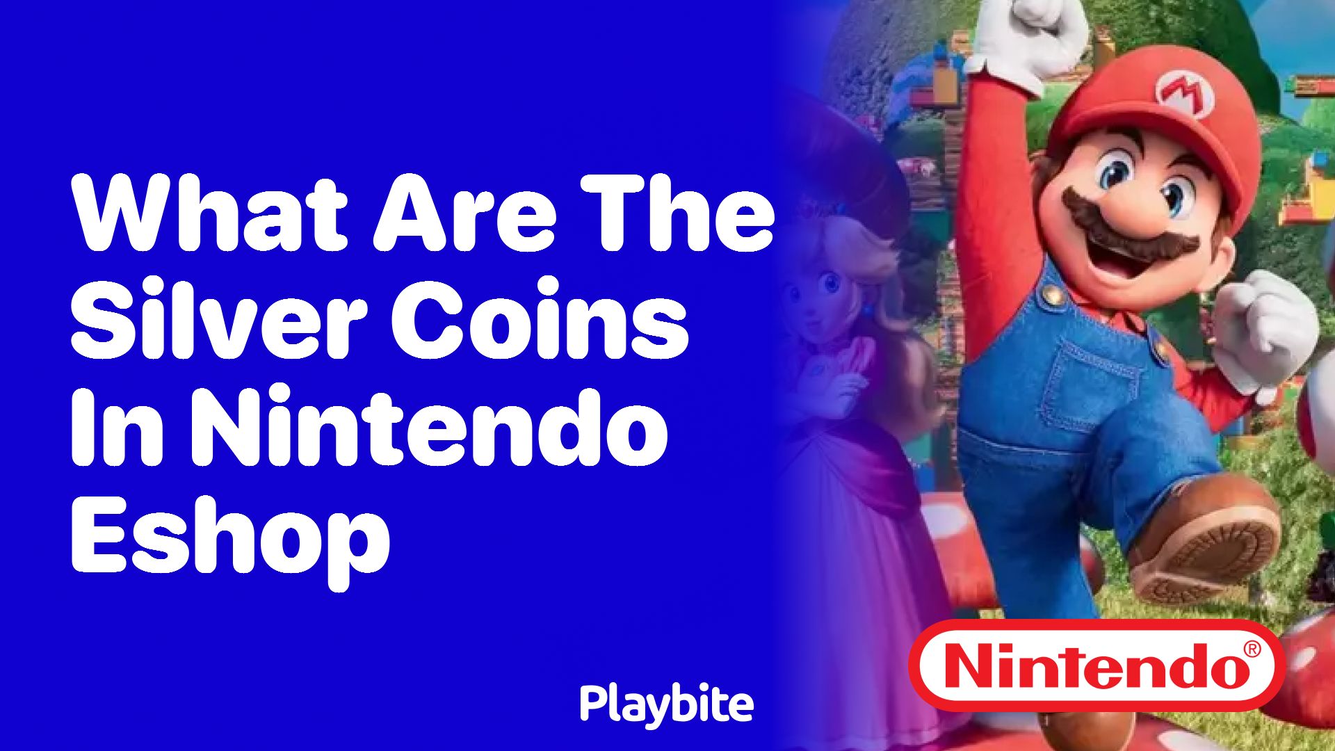 What Are the Silver Coins in Nintendo eShop?