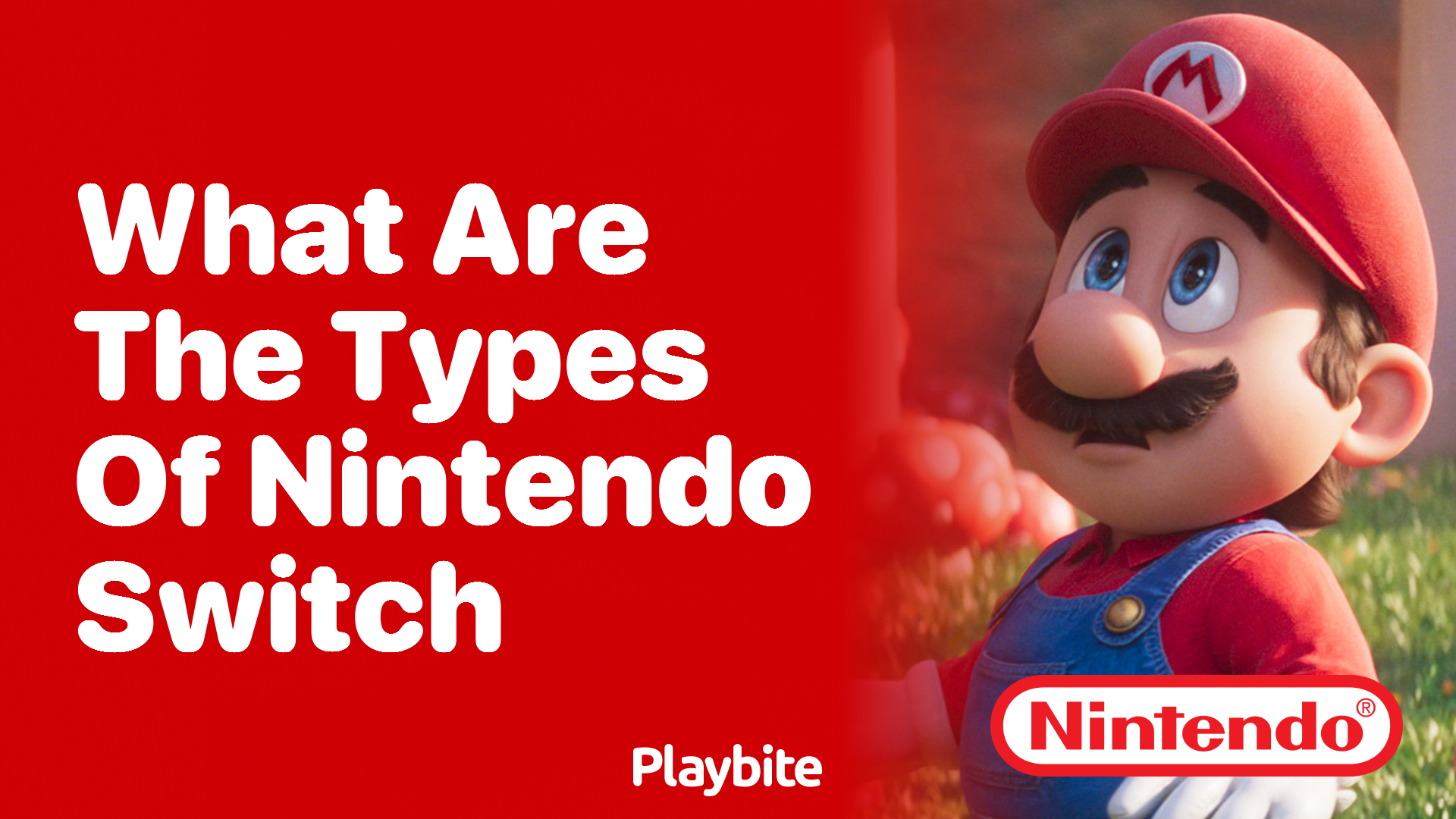 What Are the Types of Nintendo Switch?