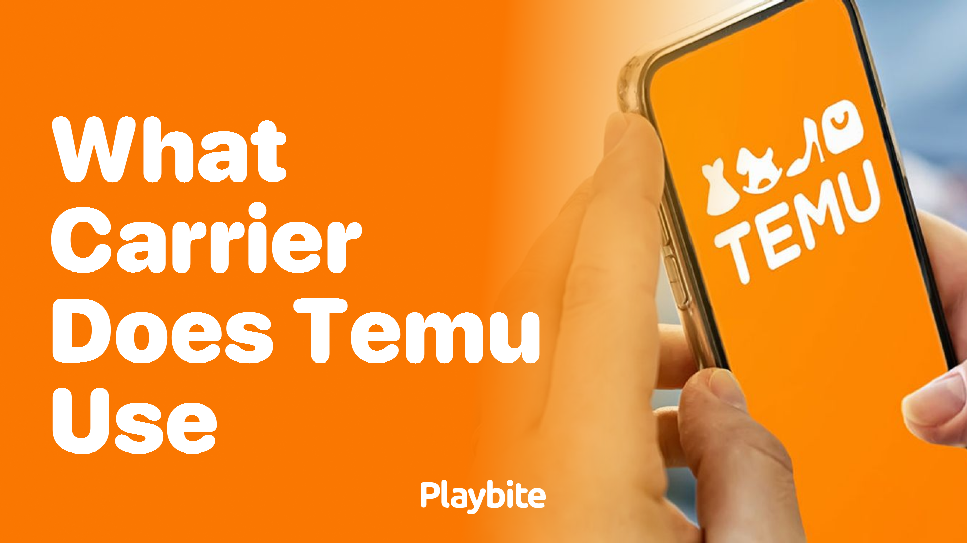 What Carrier Does Temu Use for Shipping Orders?