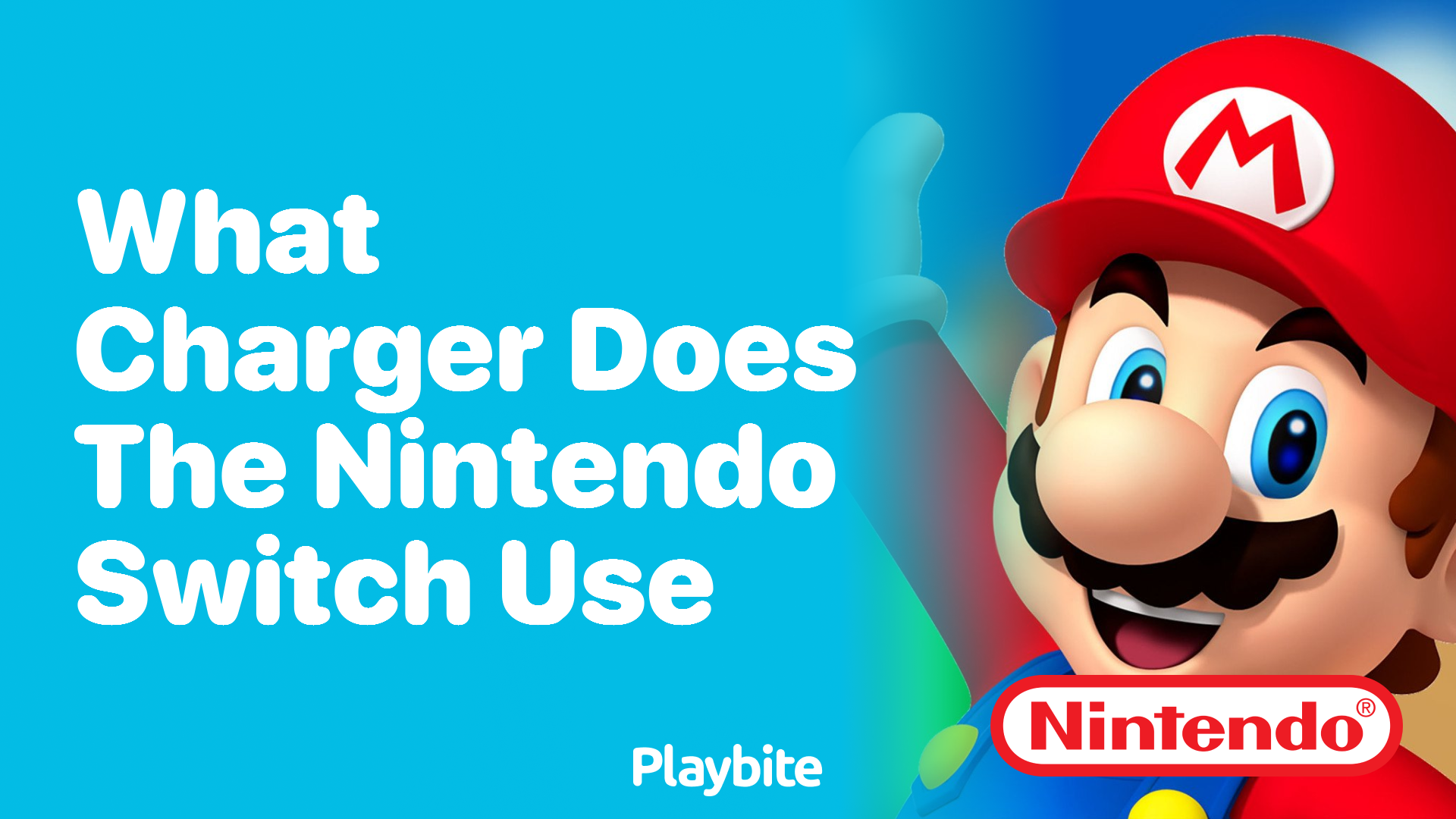 What Charger Does the Nintendo Switch Use?