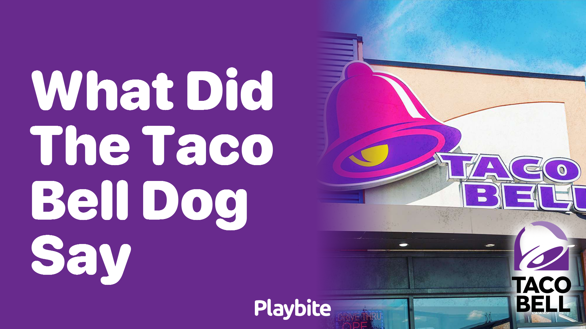 What Did the Taco Bell Dog Say?