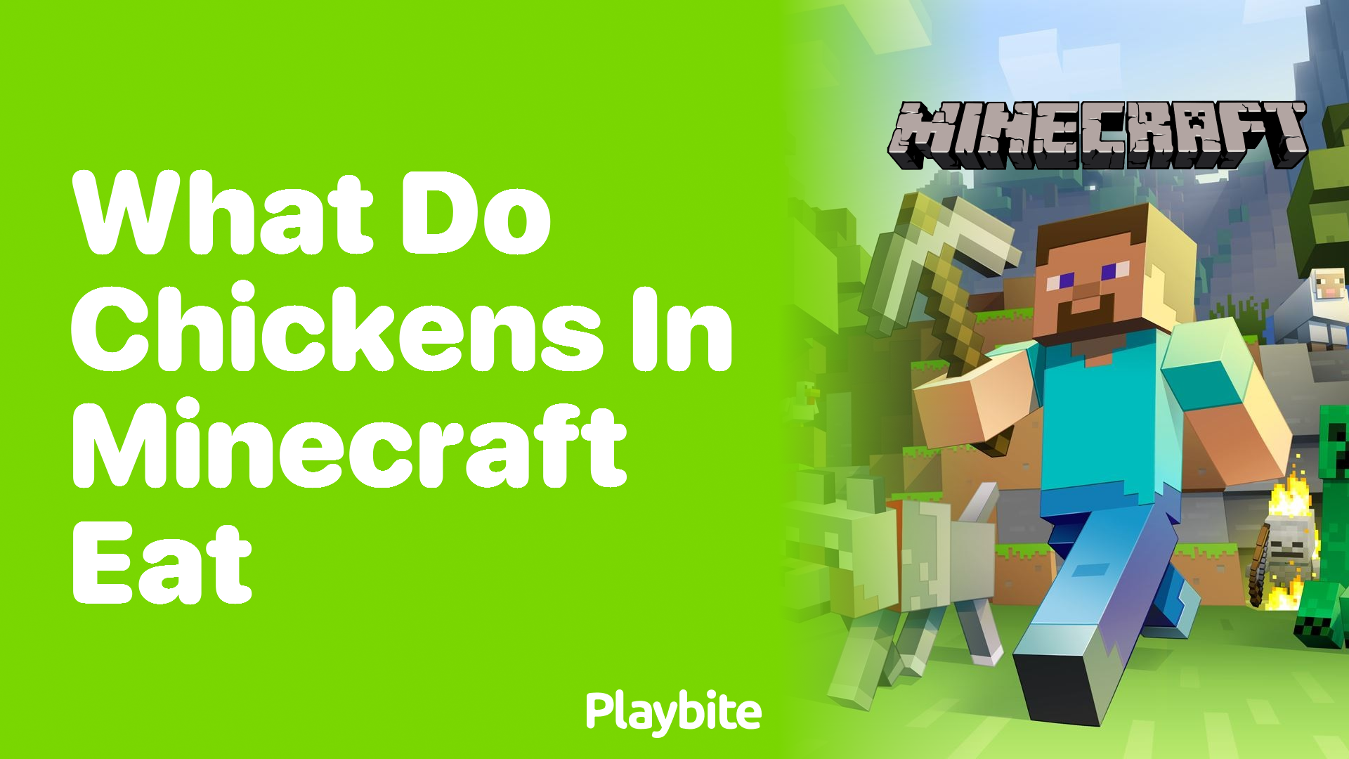What Do Chickens in Minecraft Eat? Discover Their Favorite Snacks!