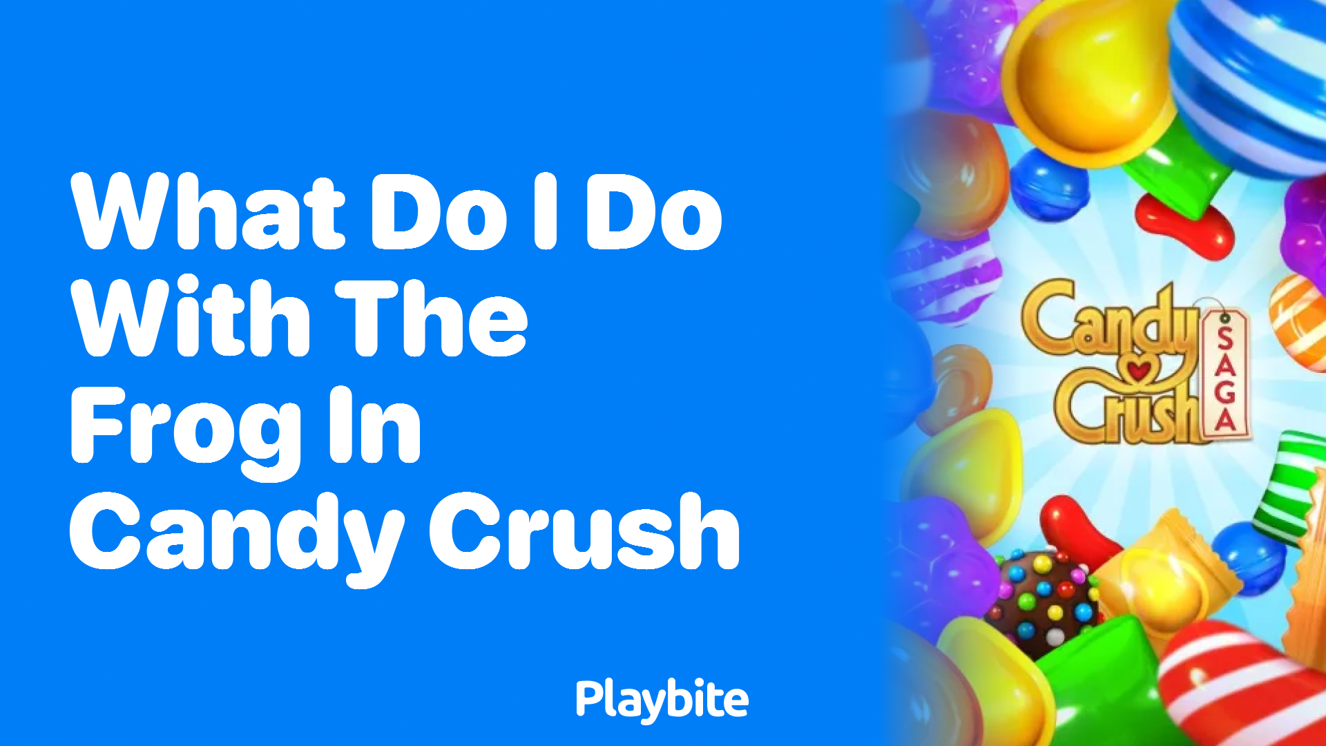 What Do I Do With the Frog in Candy Crush? Playbite