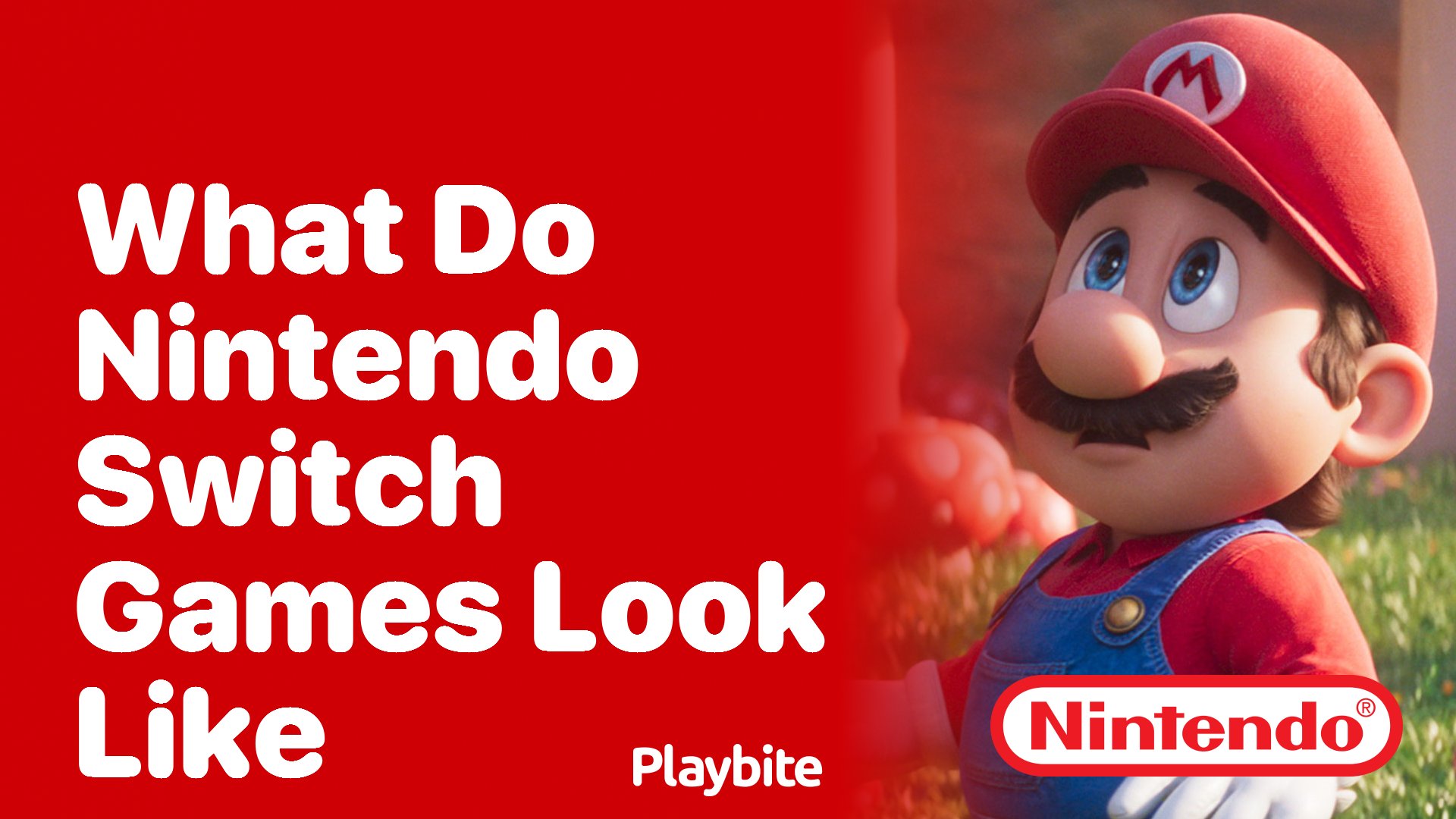 What Do Nintendo Switch Games Look Like?