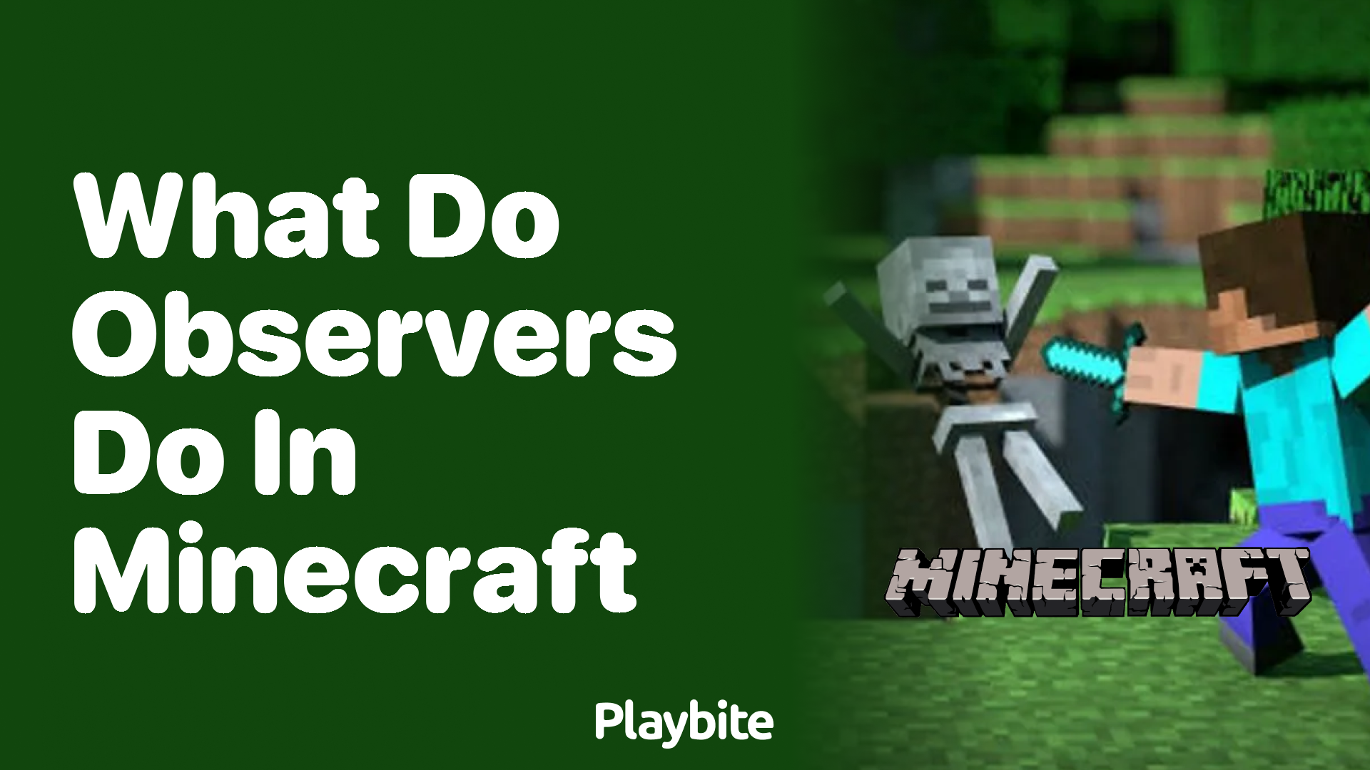 What Do Observers Do in Minecraft?