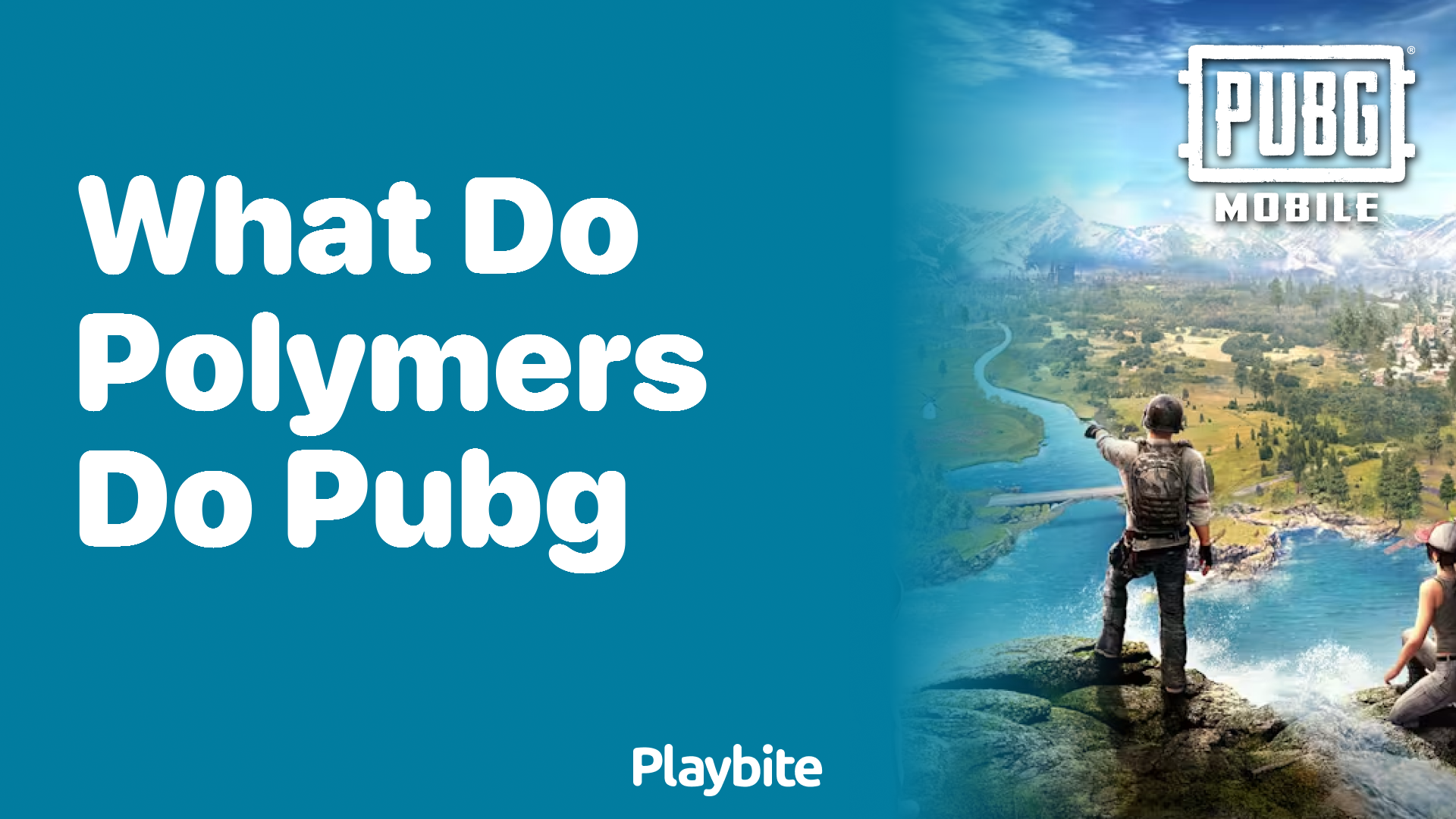 What Do Polymers Do in PUBG Mobile?