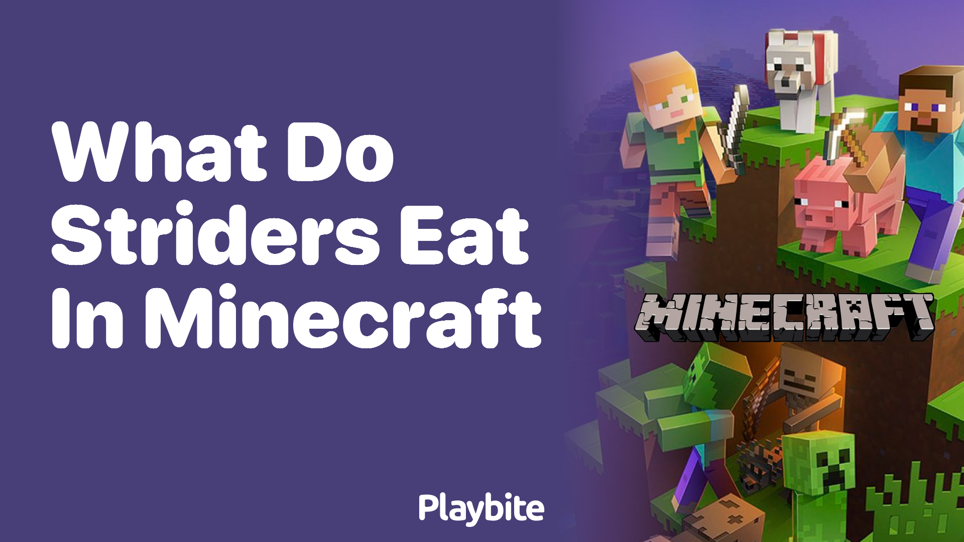 What Do Striders Eat in Minecraft?