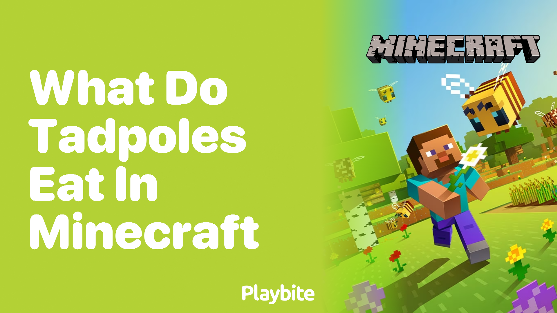 What Do Tadpoles Eat in Minecraft? - Playbite