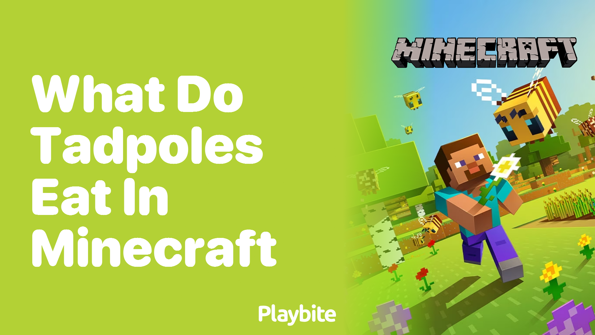 What Do Tadpoles Eat in Minecraft?