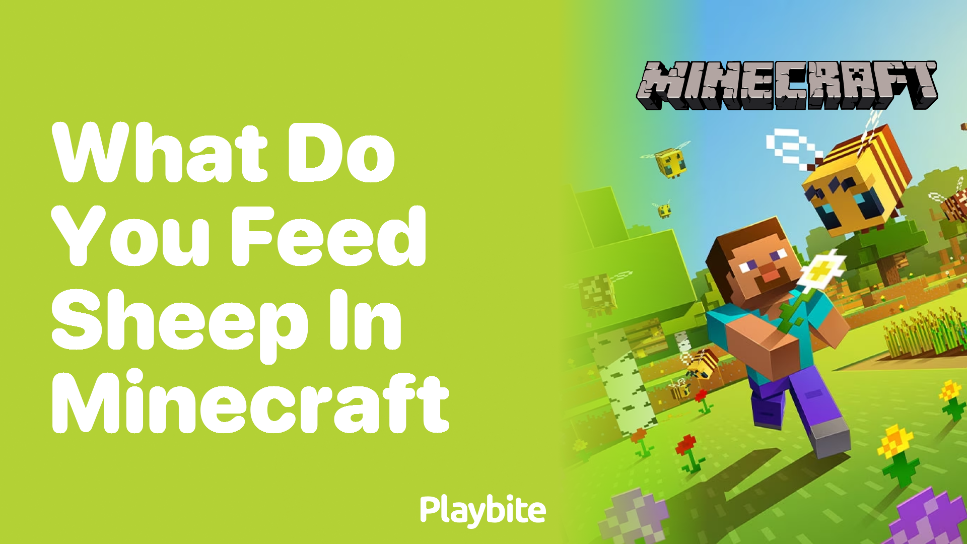 Feeding Sheep in Minecraft: What Do They Eat?