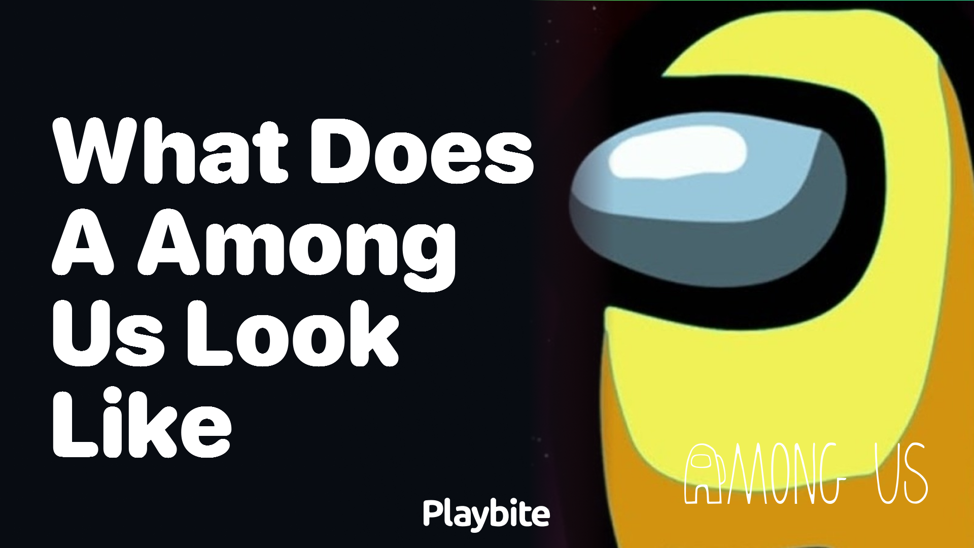 What Does a Character in Among Us Look Like?