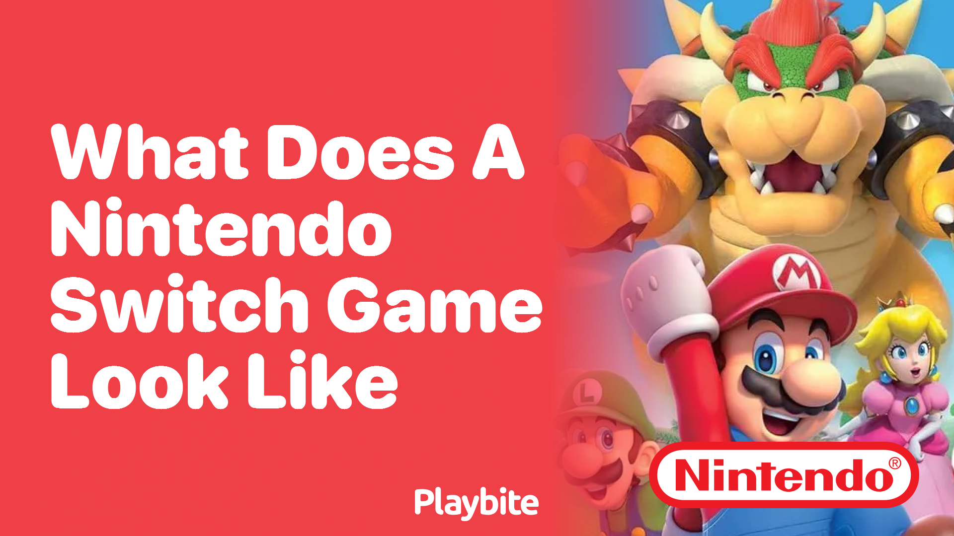 What Does a Nintendo Switch Game Look Like? Discover the Fun!