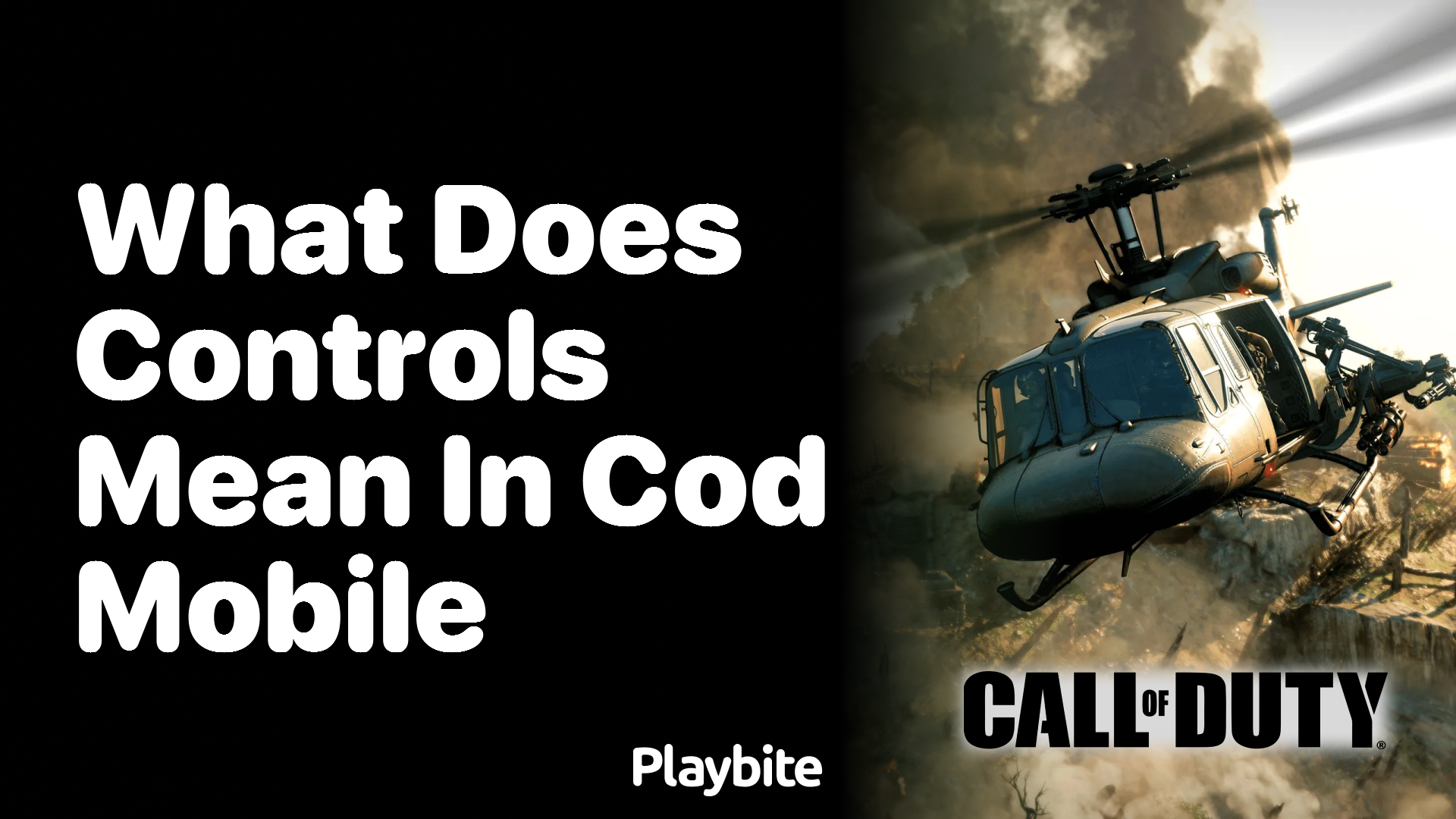 What Does ‘Controls’ Mean in COD Mobile?