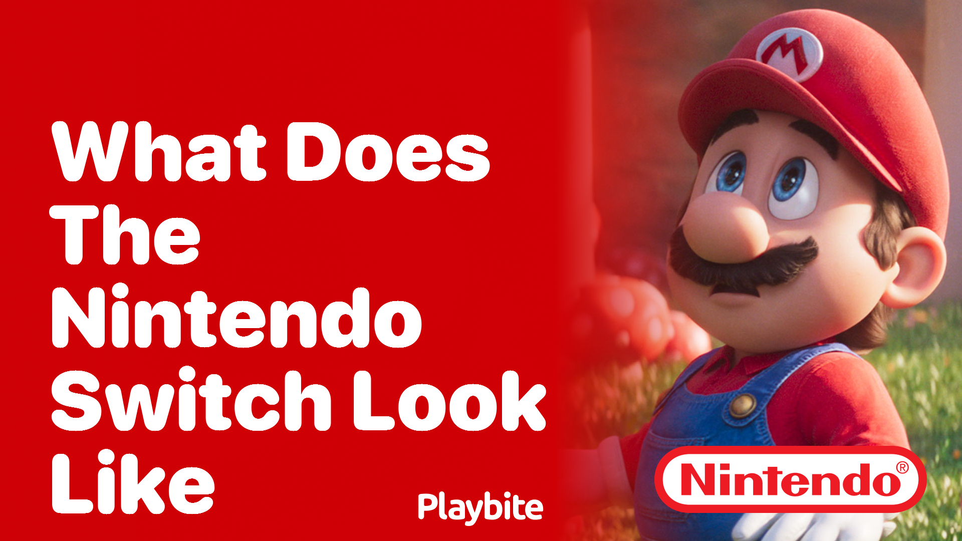 What Does The Nintendo Switch Look Like?