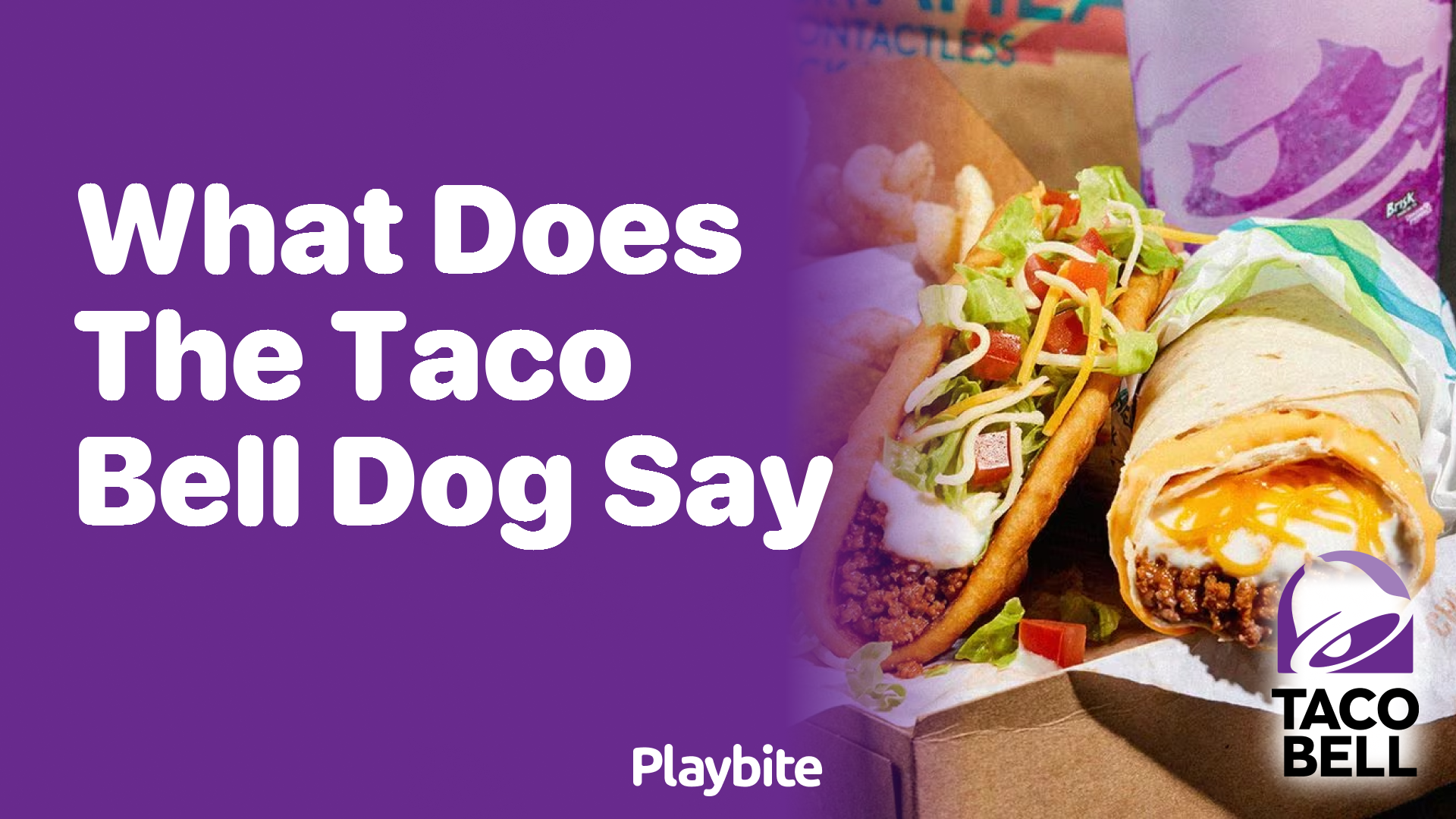What Does the Taco Bell Dog Say? Unveiling the Iconic Slogan