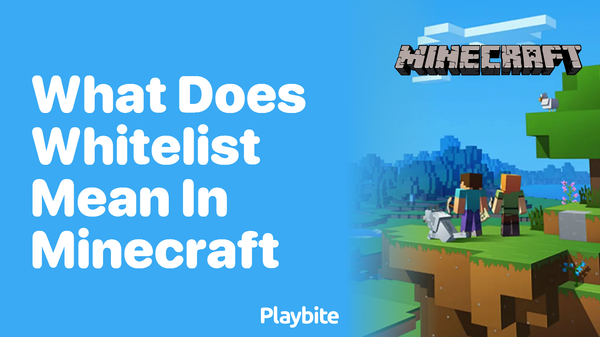 What Does Whitelist Mean in Minecraft?