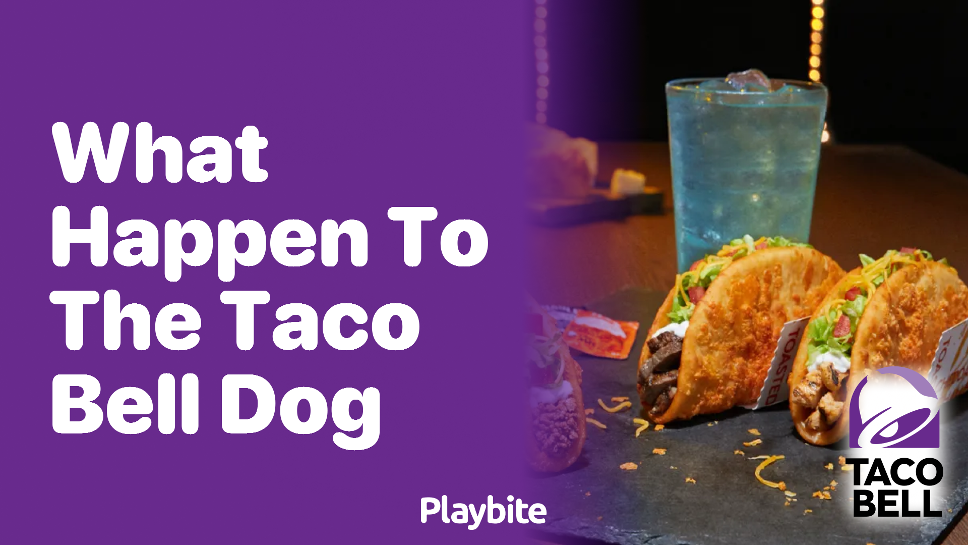 What Happened to the Taco Bell Dog?
