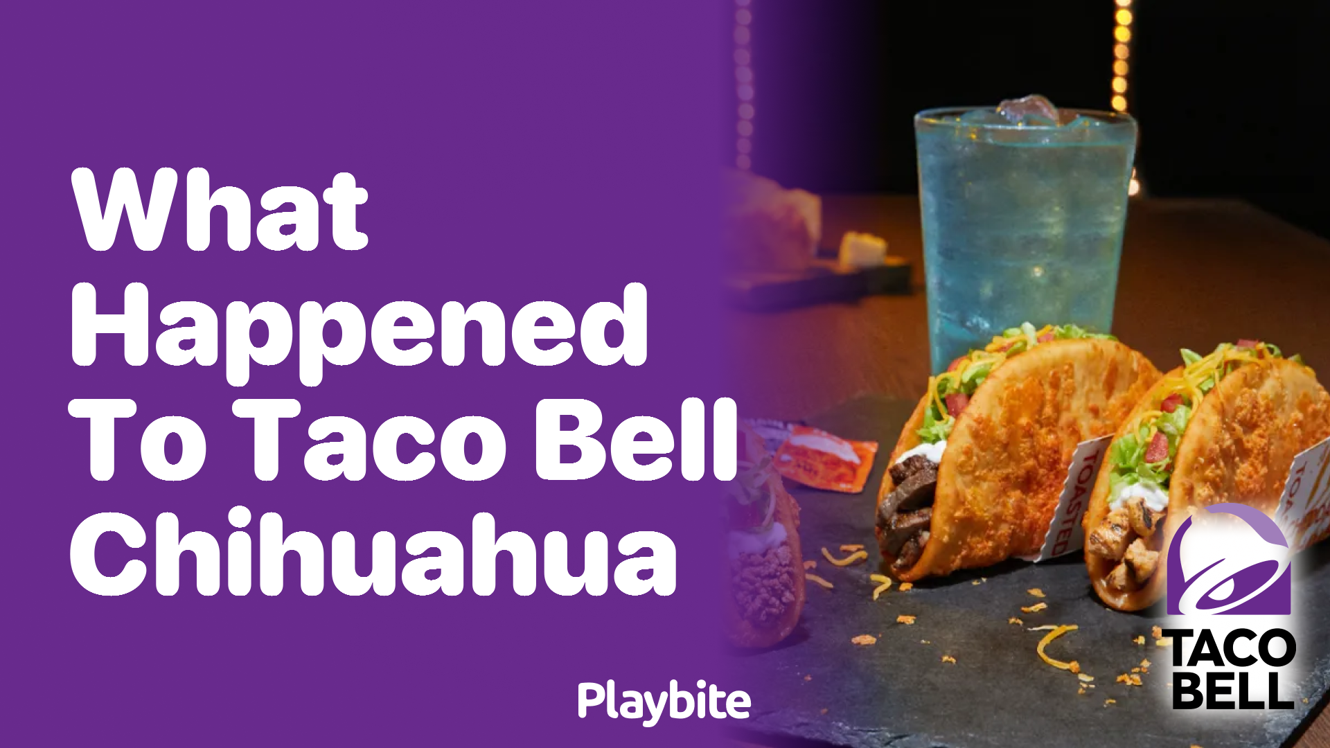 What Happened to the Taco Bell Chihuahua?