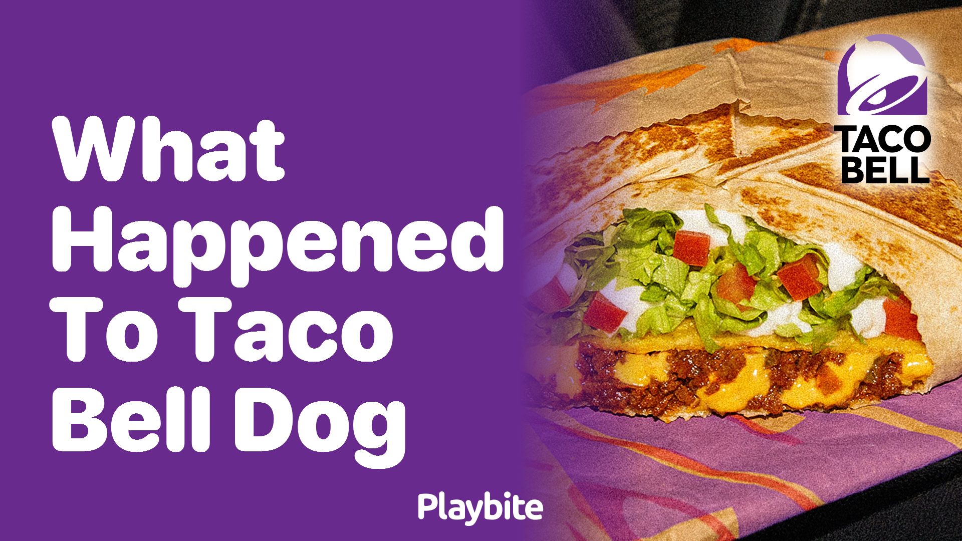 What Happened to the Taco Bell Dog?