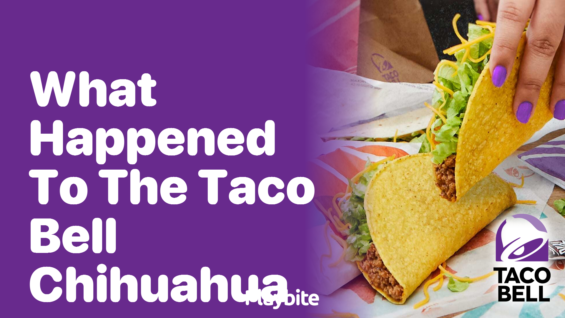 What Happened to the Taco Bell Chihuahua?